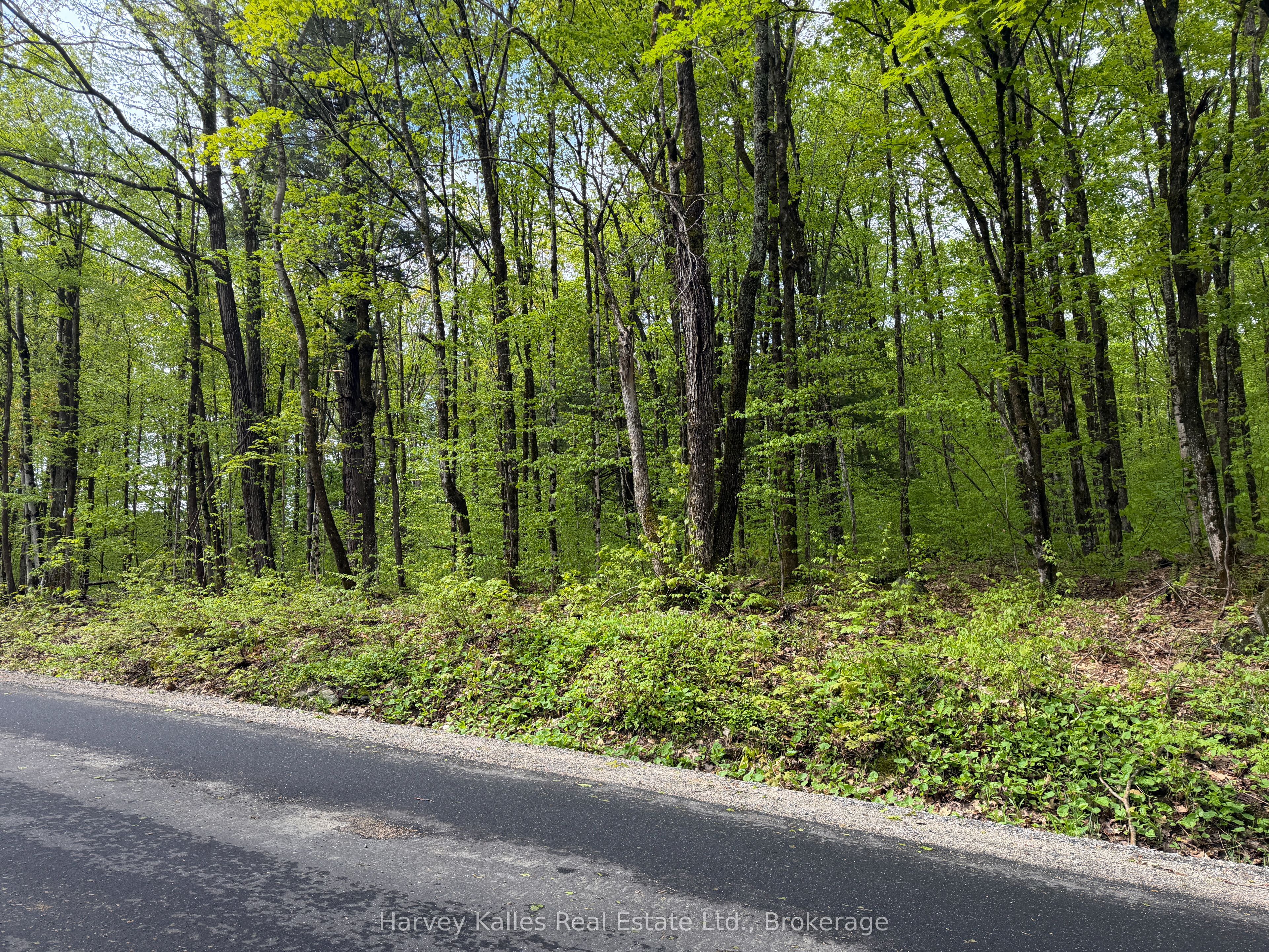 Con 1 Pt Lot 12 Barlochan Road Property Photo 34