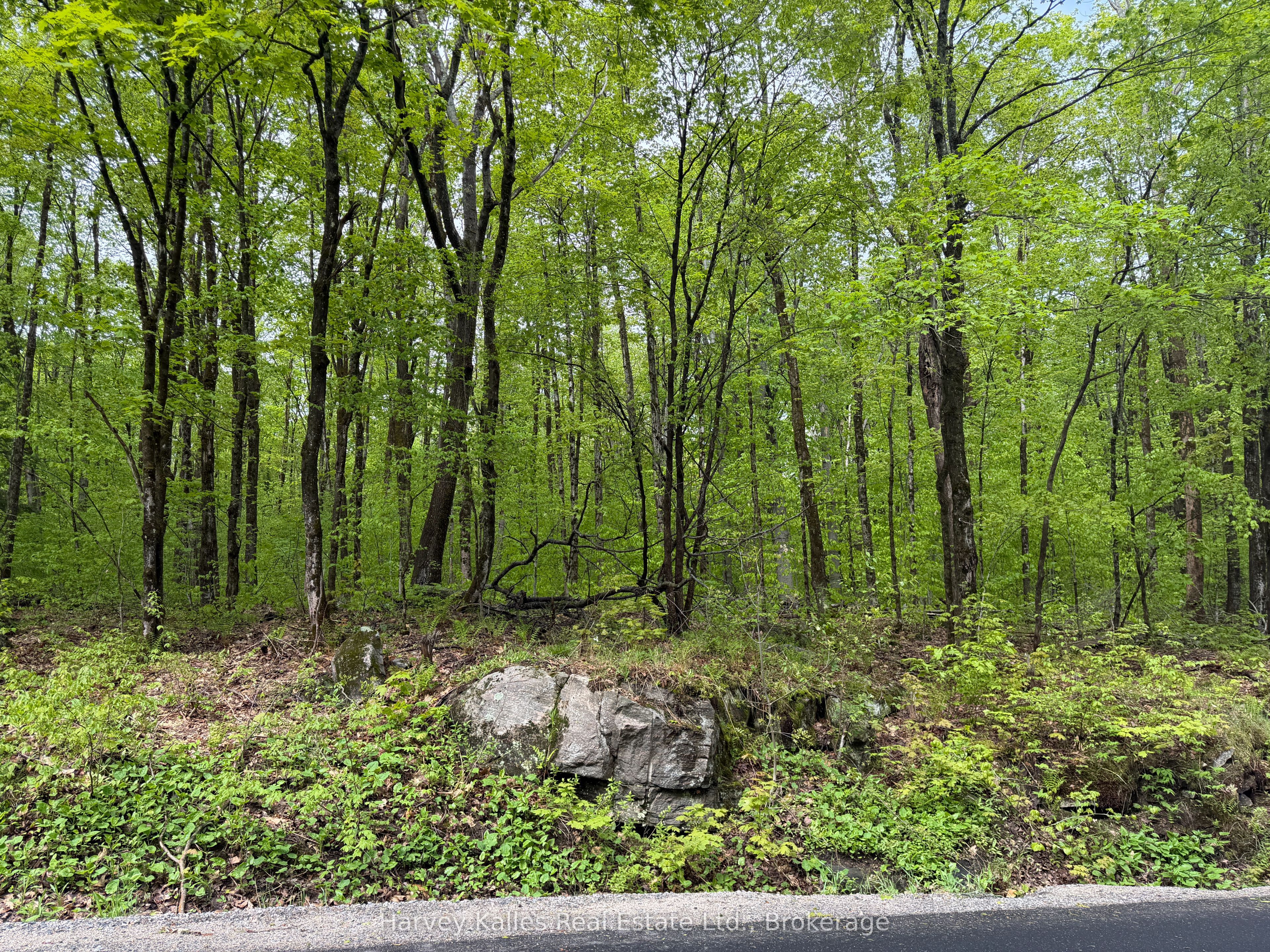Con 1 Pt Lot 12 Barlochan Road Property Photo 36