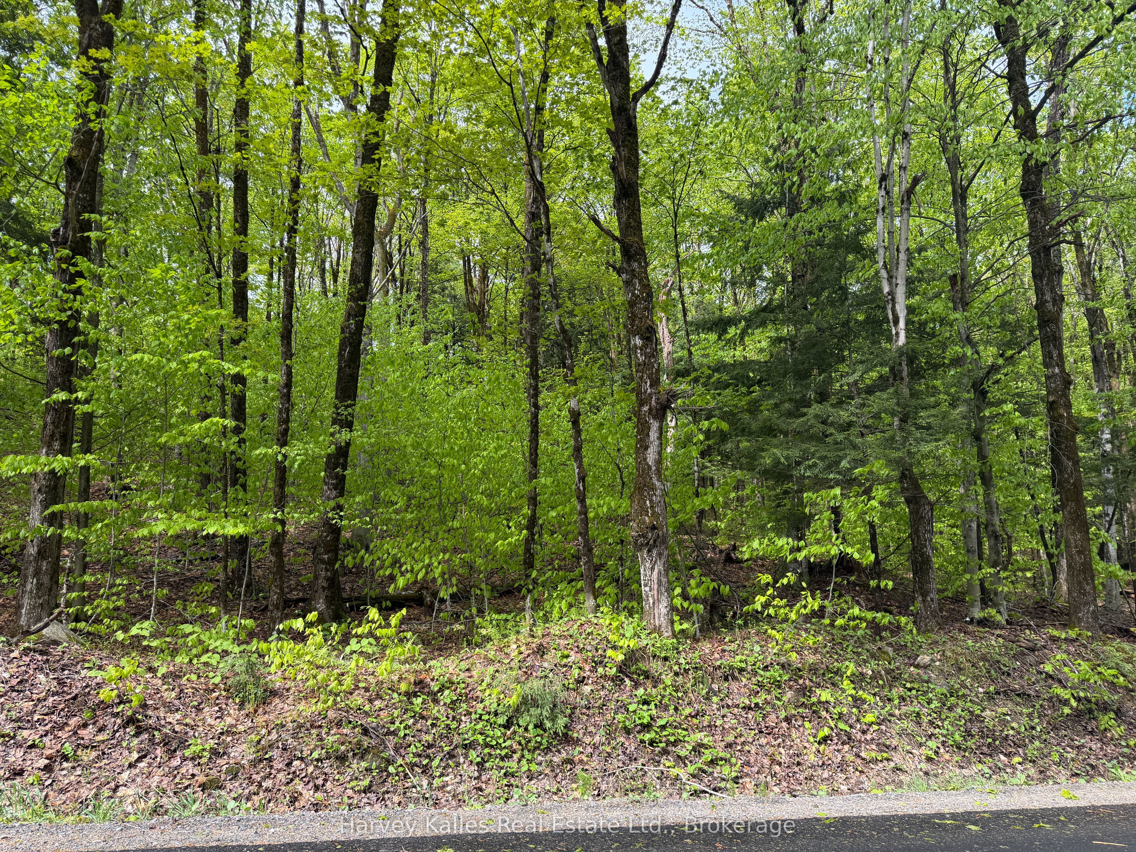 Con 1 Pt Lot 12 Barlochan Road Property Photo 38
