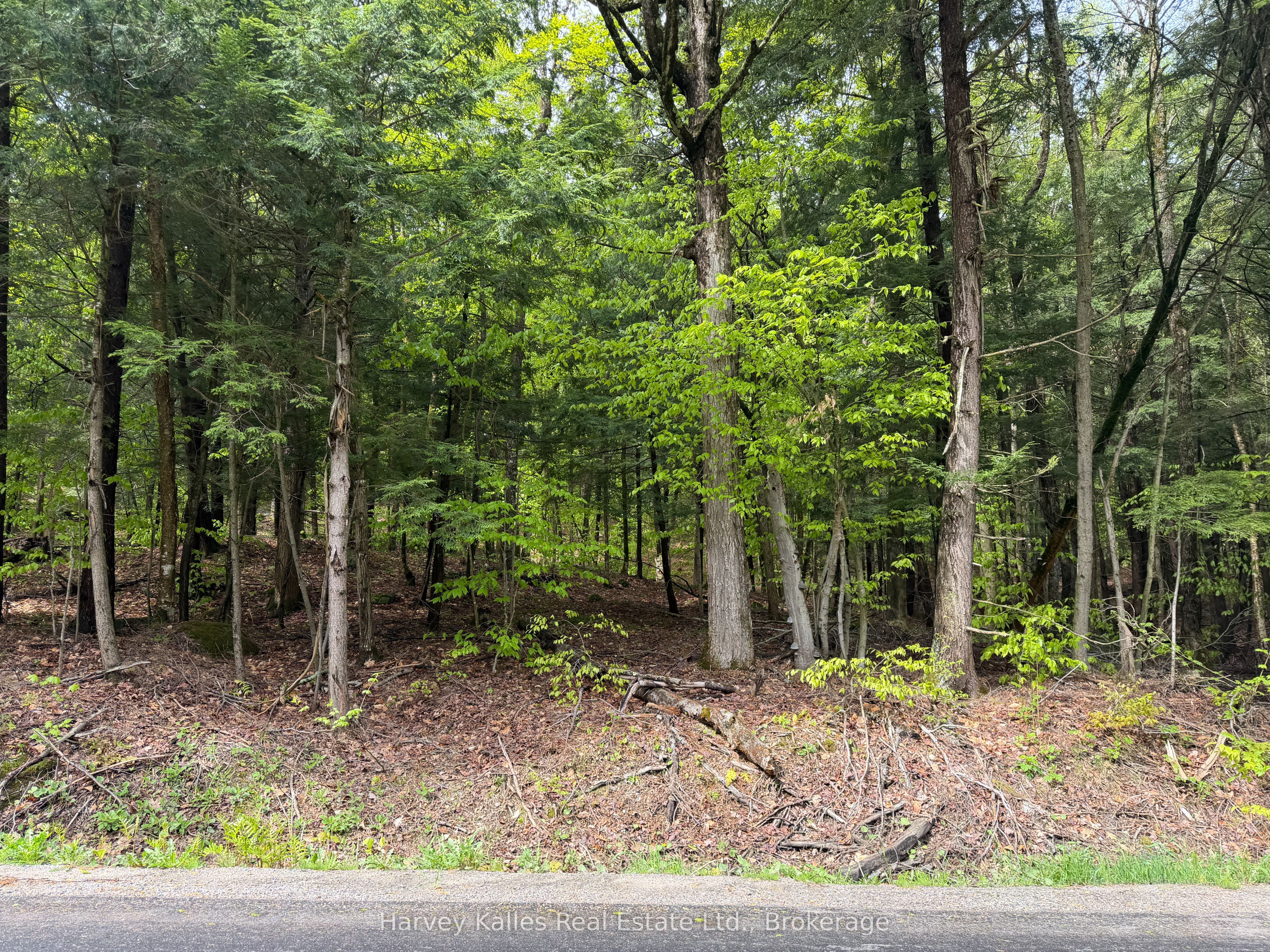 Con 1 Pt Lot 12 Barlochan Road Property Photo 39