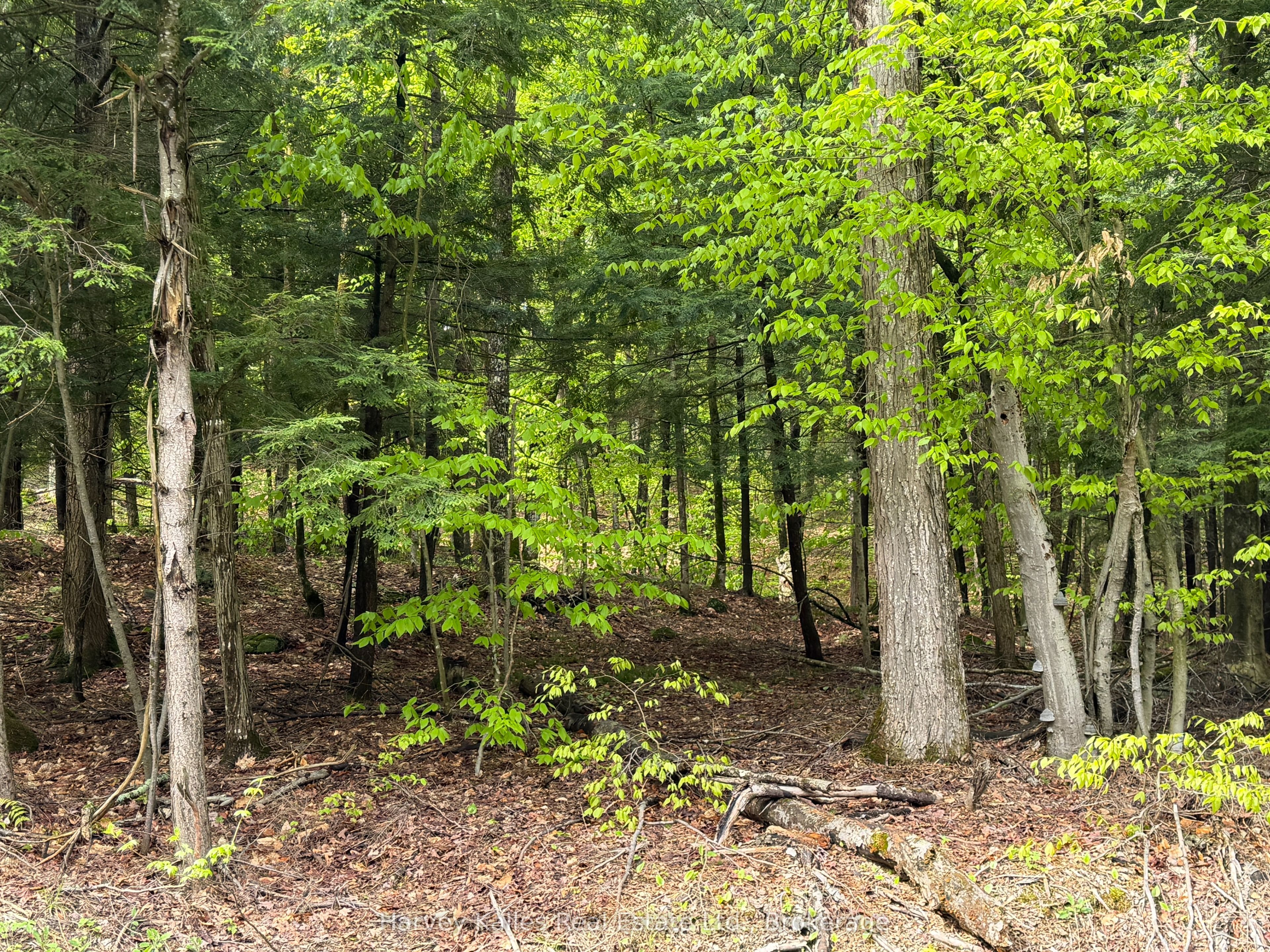 Con 1 Pt Lot 12 Barlochan Road Property Photo 40