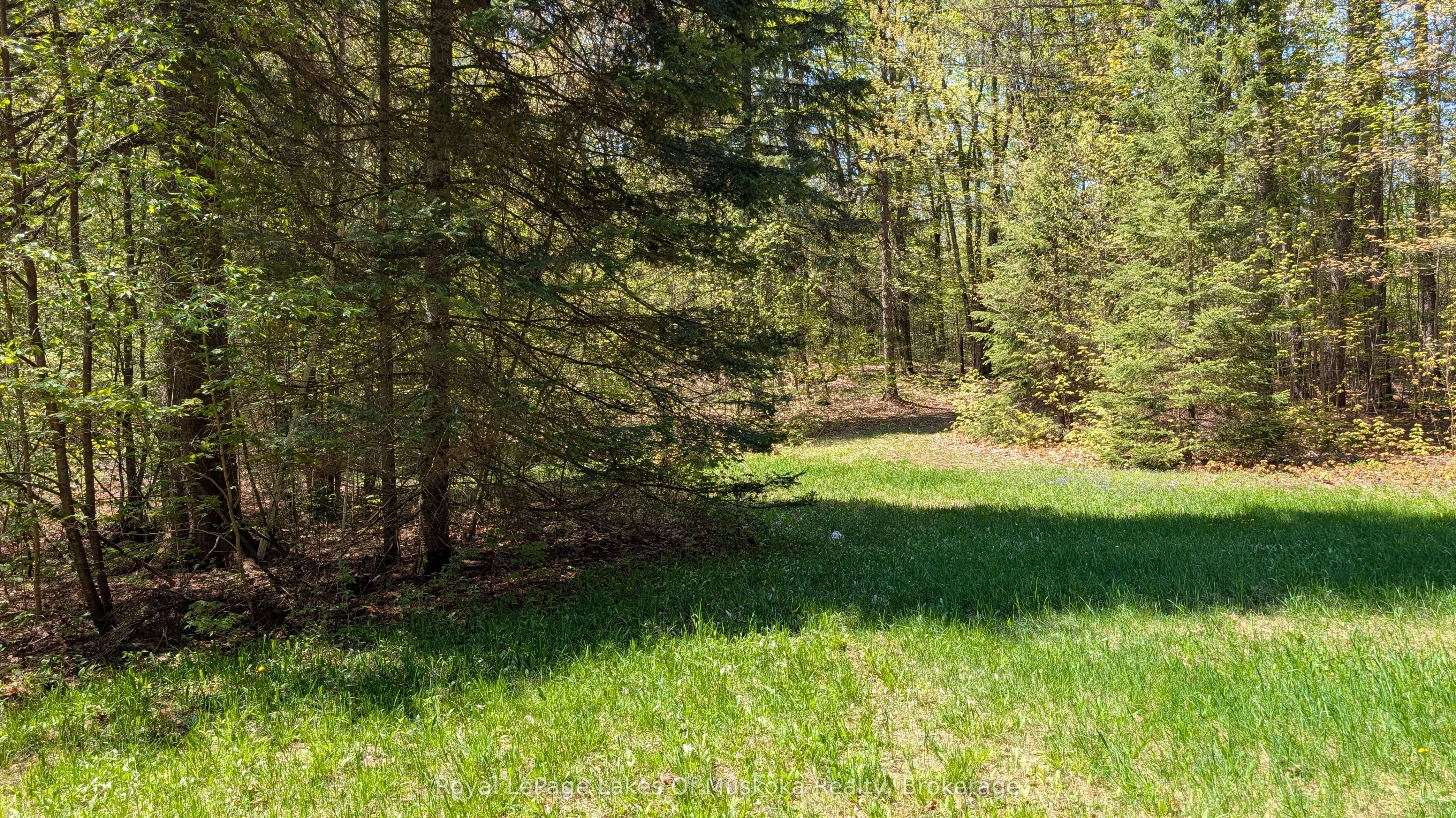 386 Locke's Road Property Photo 12