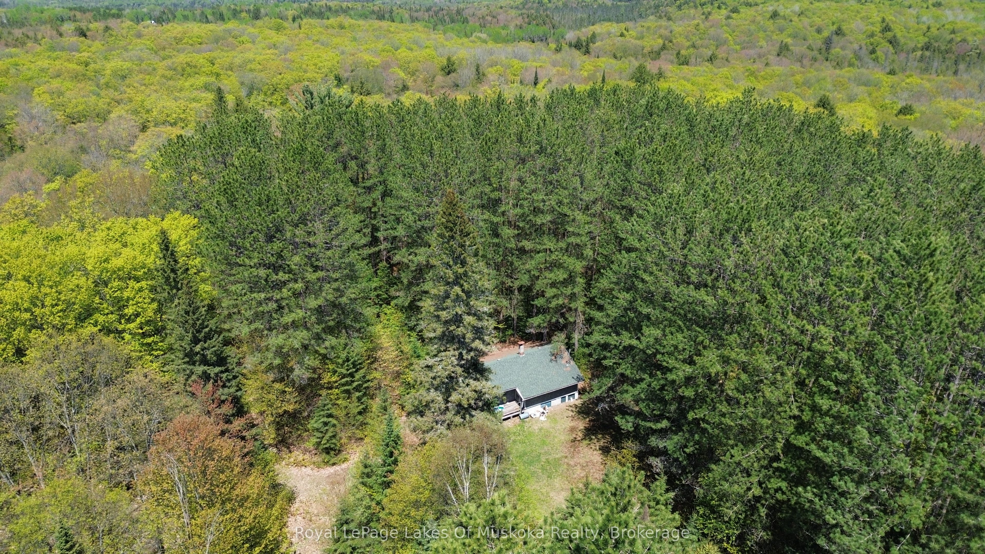 386 Locke's Road Property Photo 15