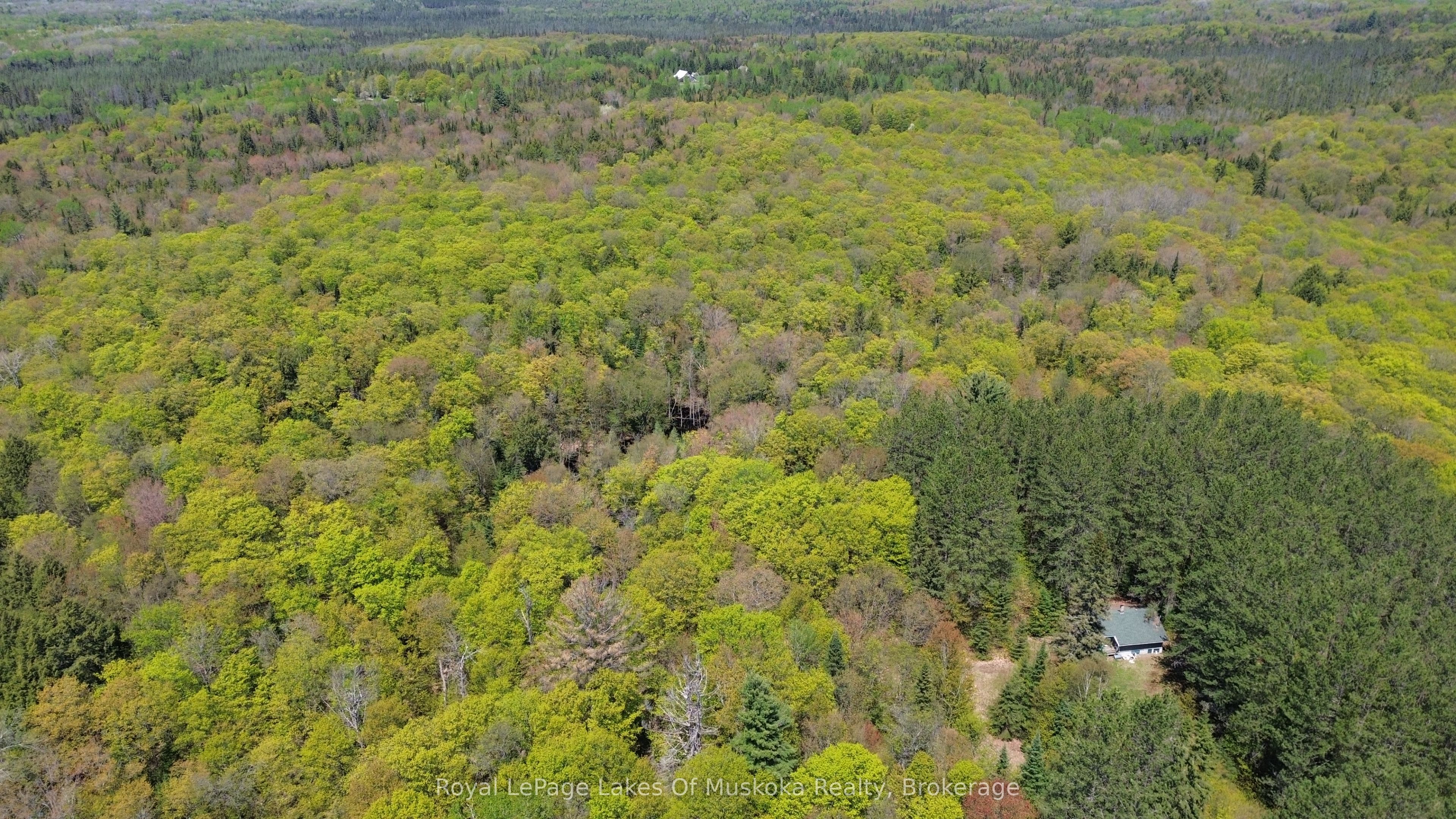 386 Locke's Road Property Photo 20