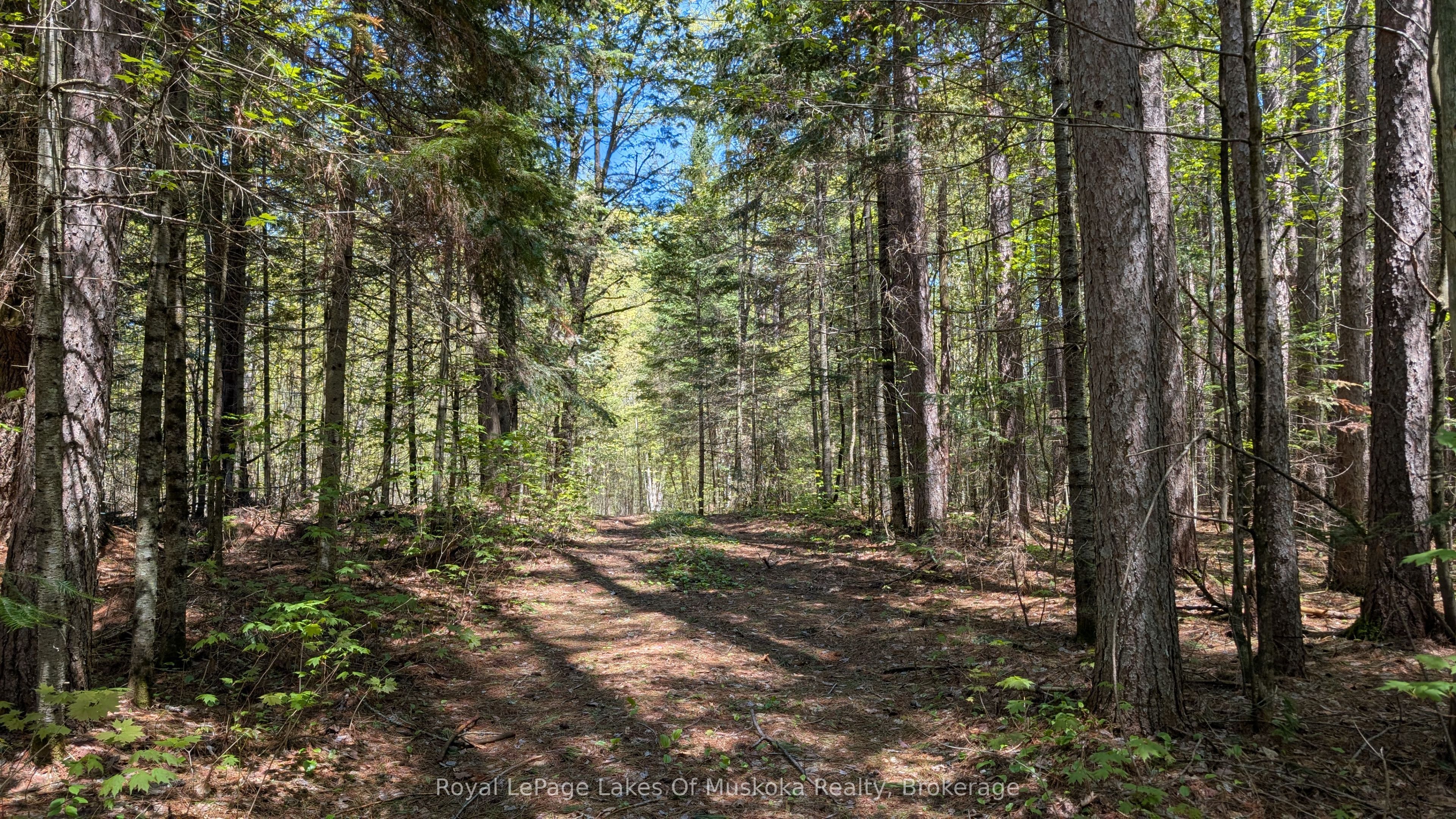386 Locke's Road Property Photo 25
