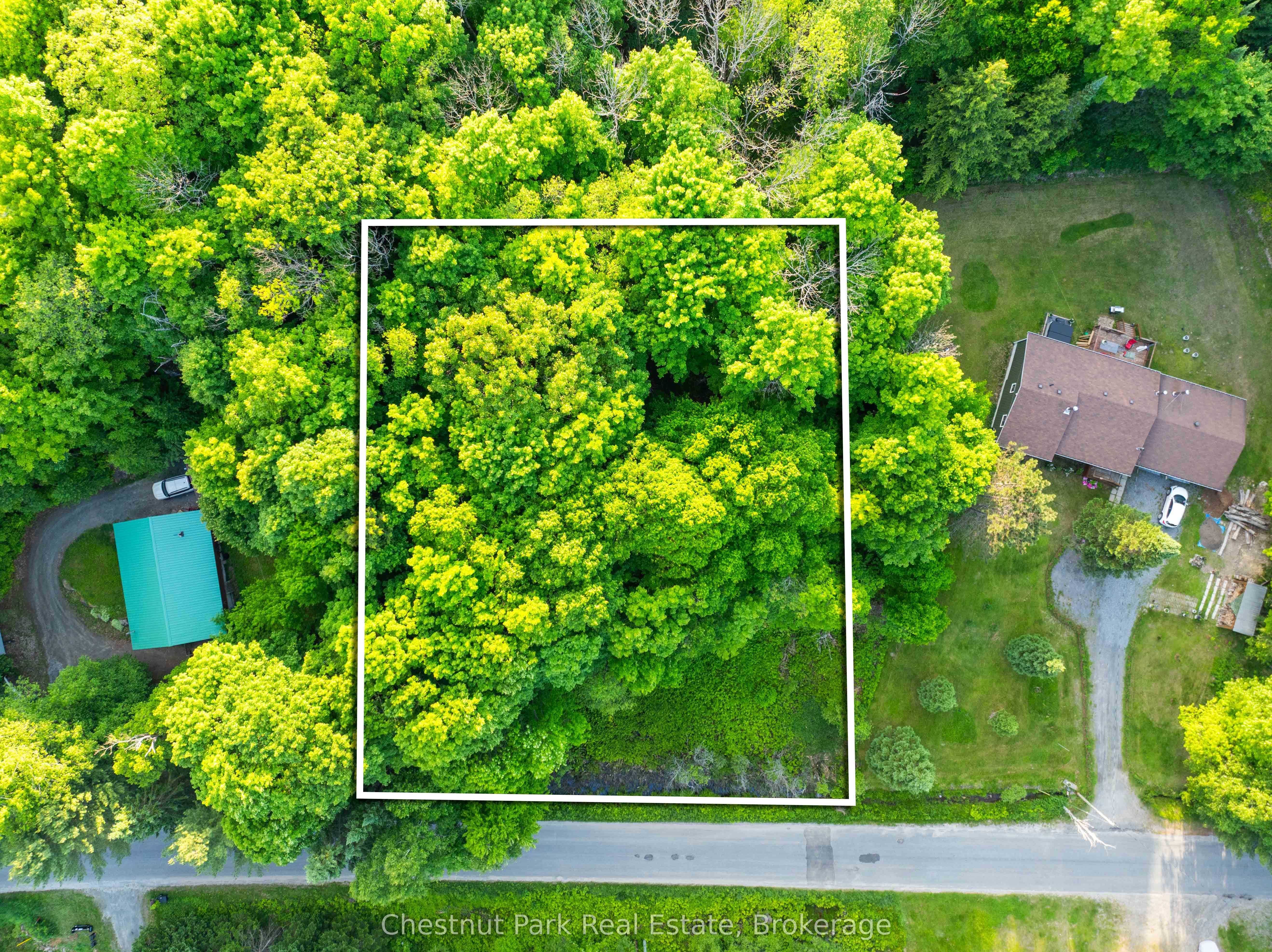 56 Vernon Lane Property Photo 1