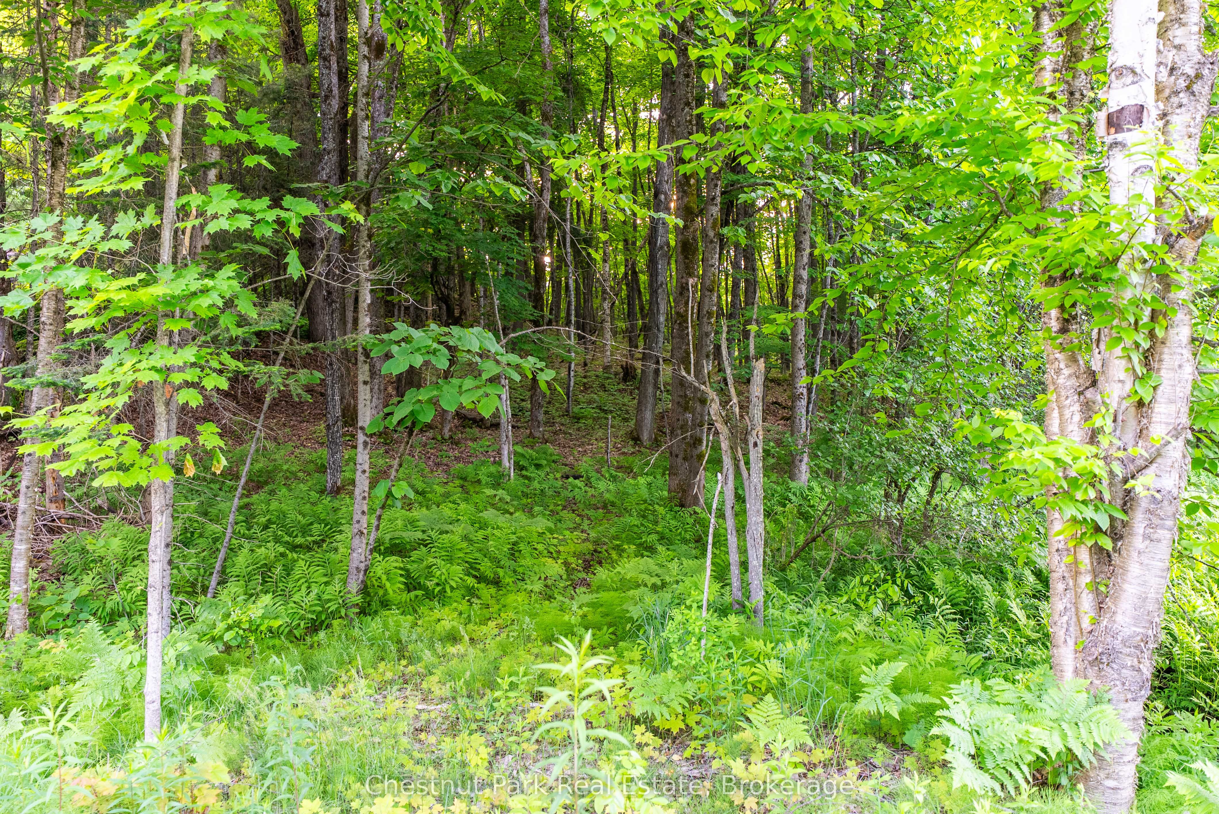 56 Vernon Lane Property Photo 9