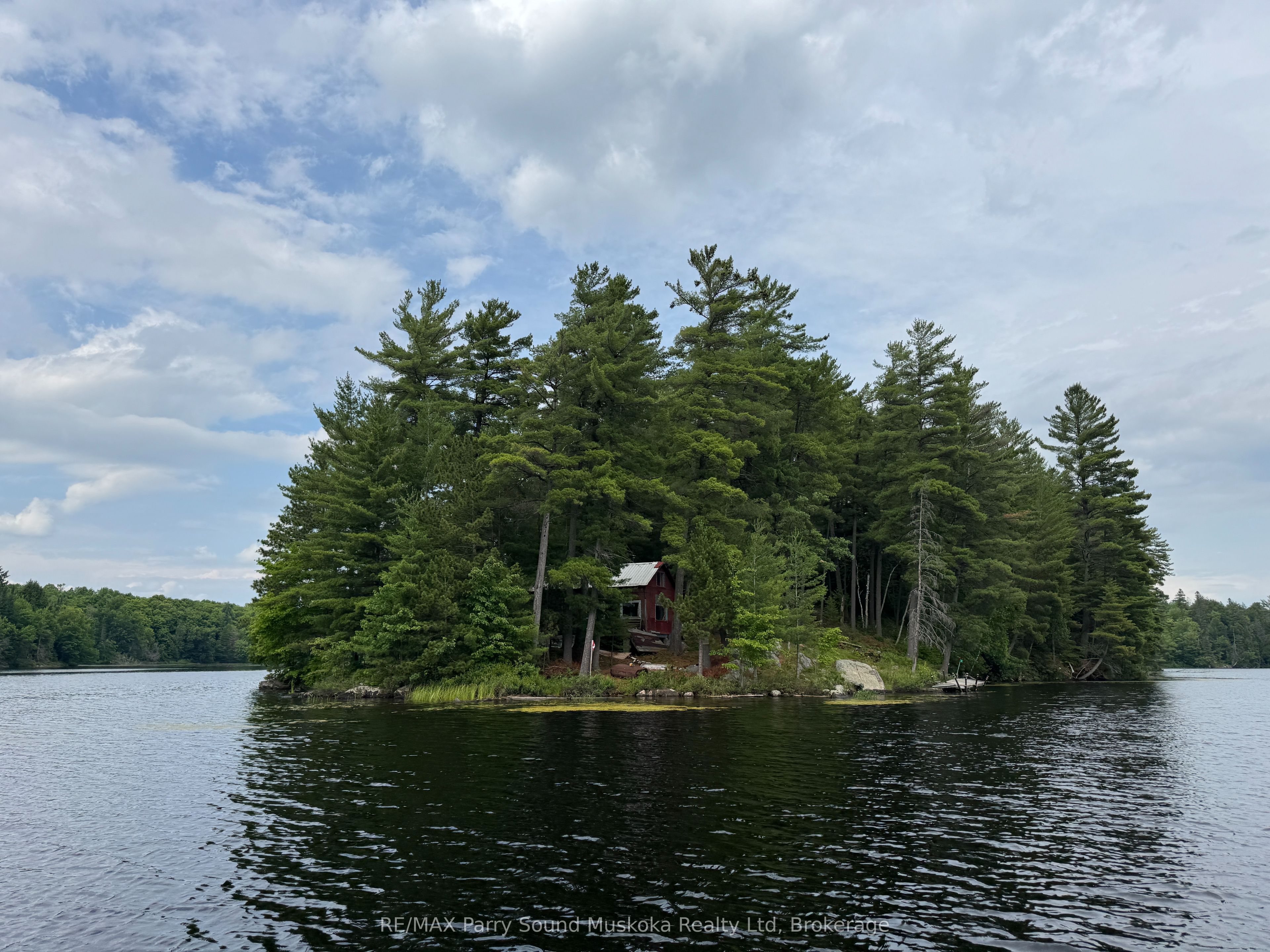 2 Wolf River Property Photo 1