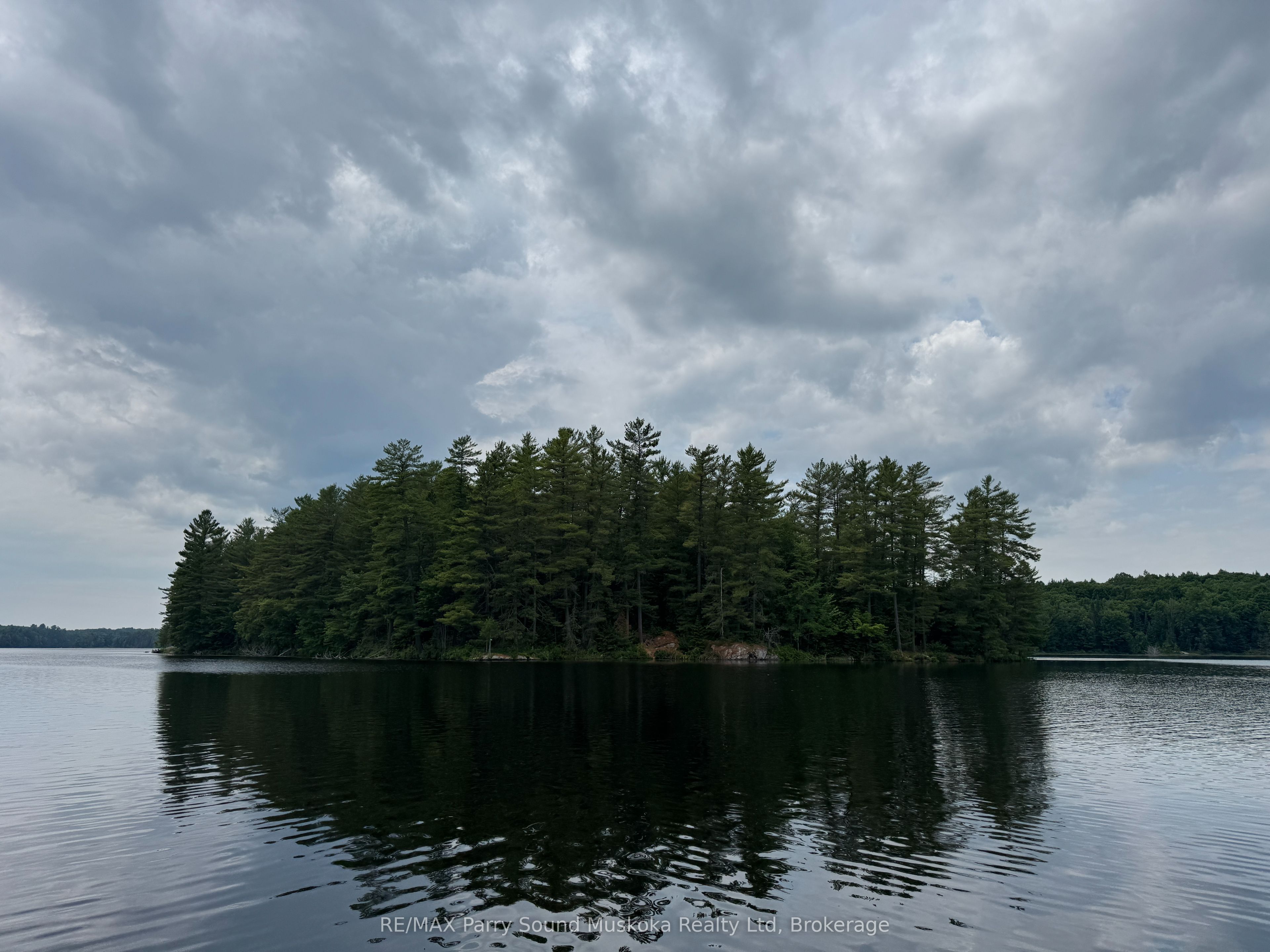 2 Wolf River Property Photo 3