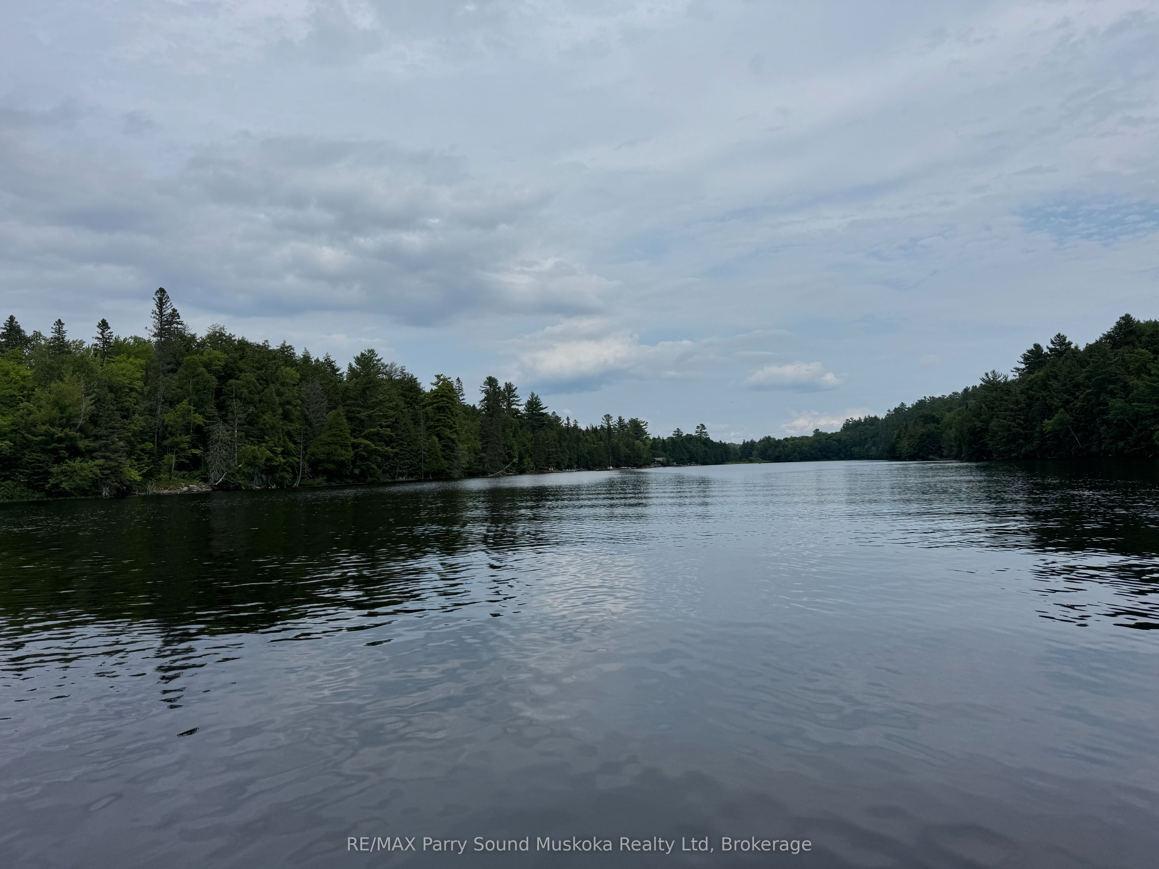 2 Wolf River Property Photo 4