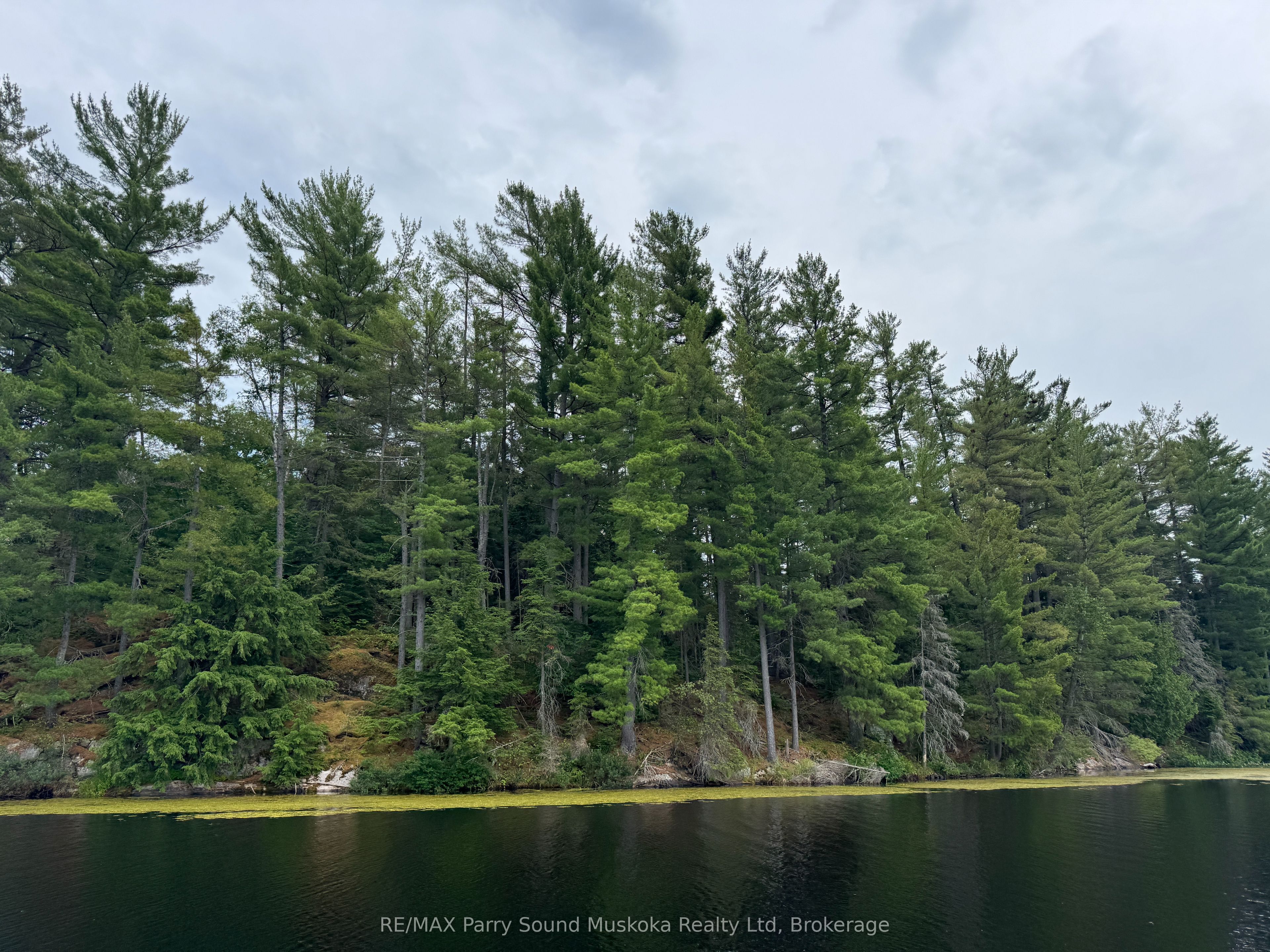 2 Wolf River Property Photo 5