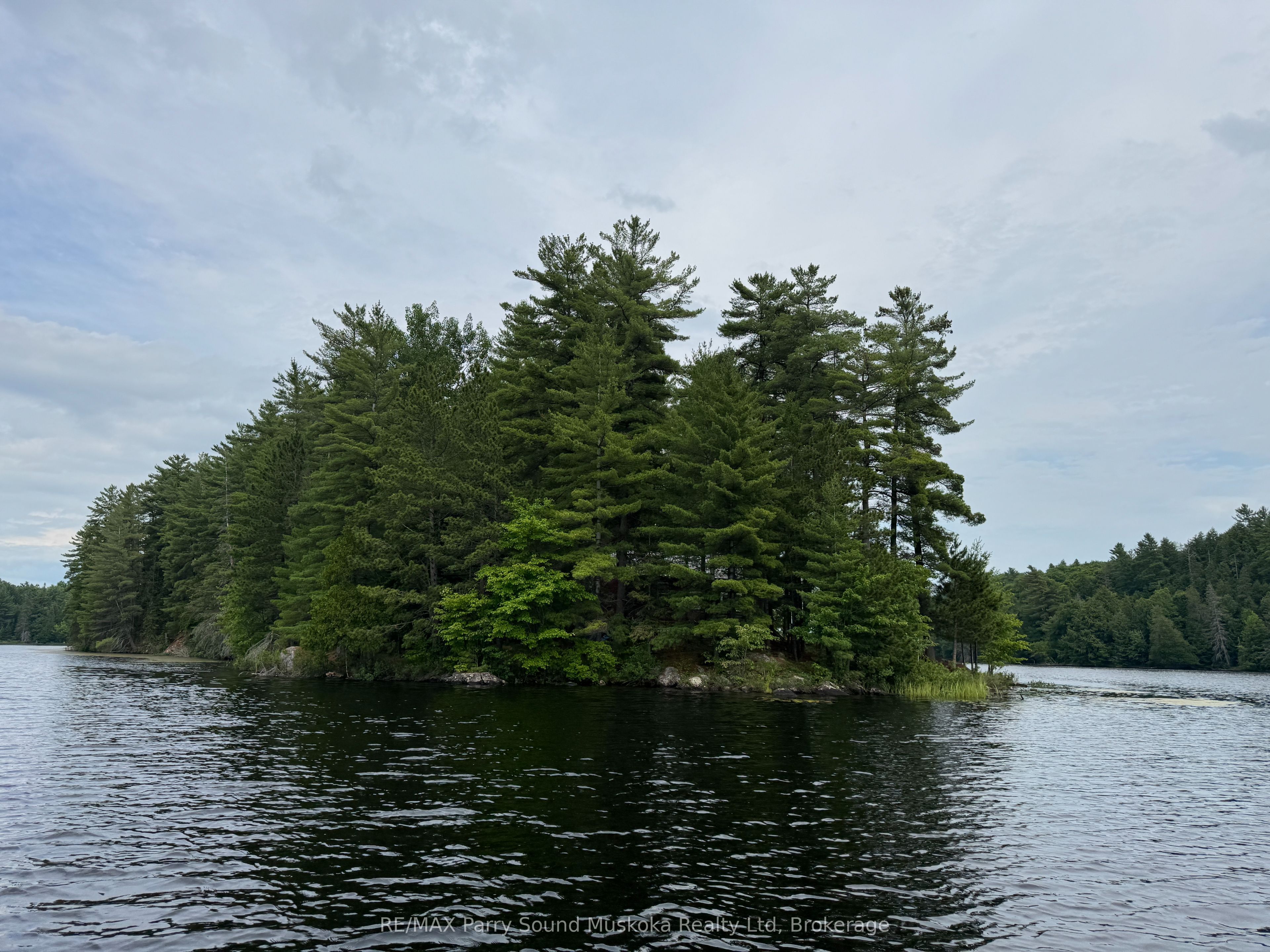 2 Wolf River Property Photo 6