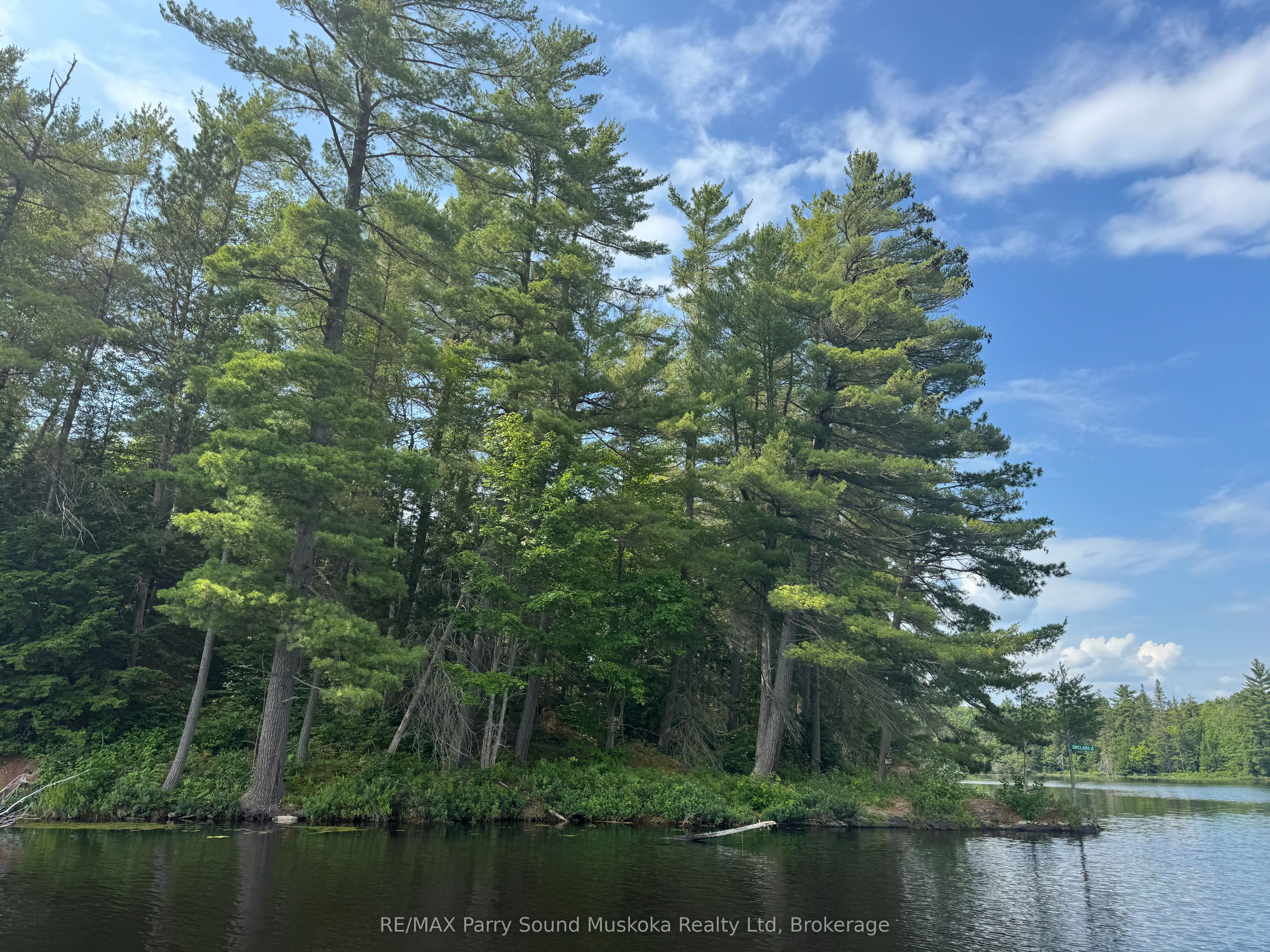 2 Wolf River Property Photo 23
