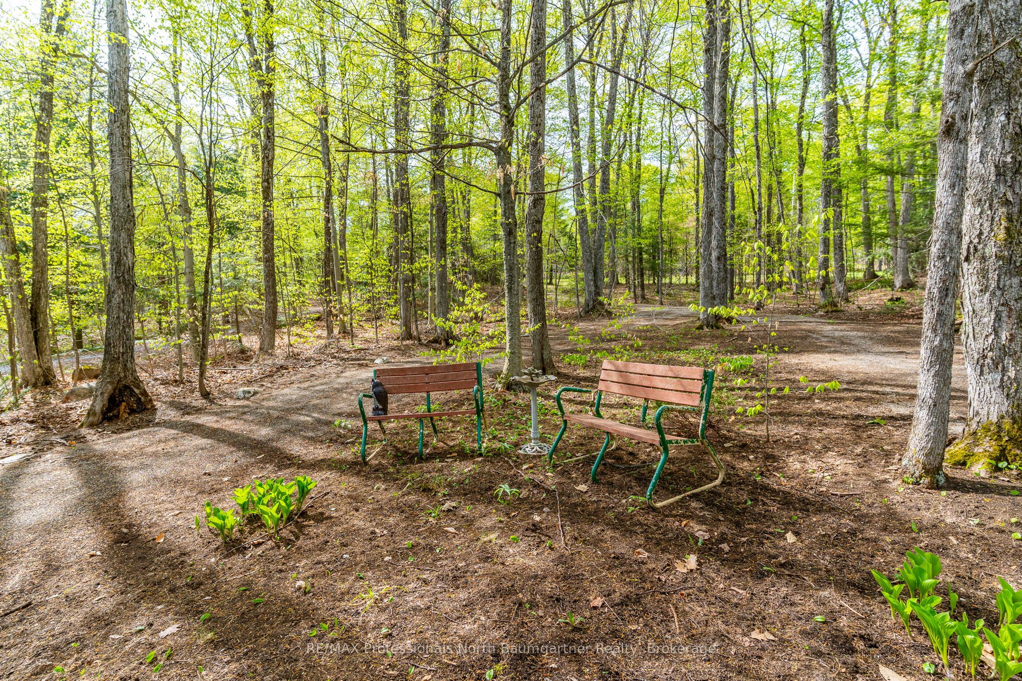 1066 Buckskin Lake Road Property Photo 28