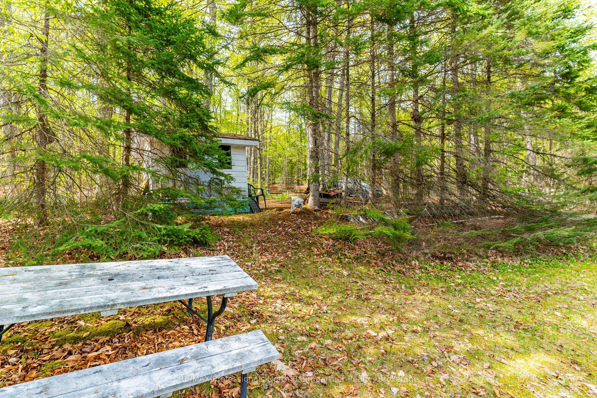 1066 Buckskin Lake Road Property Photo 30