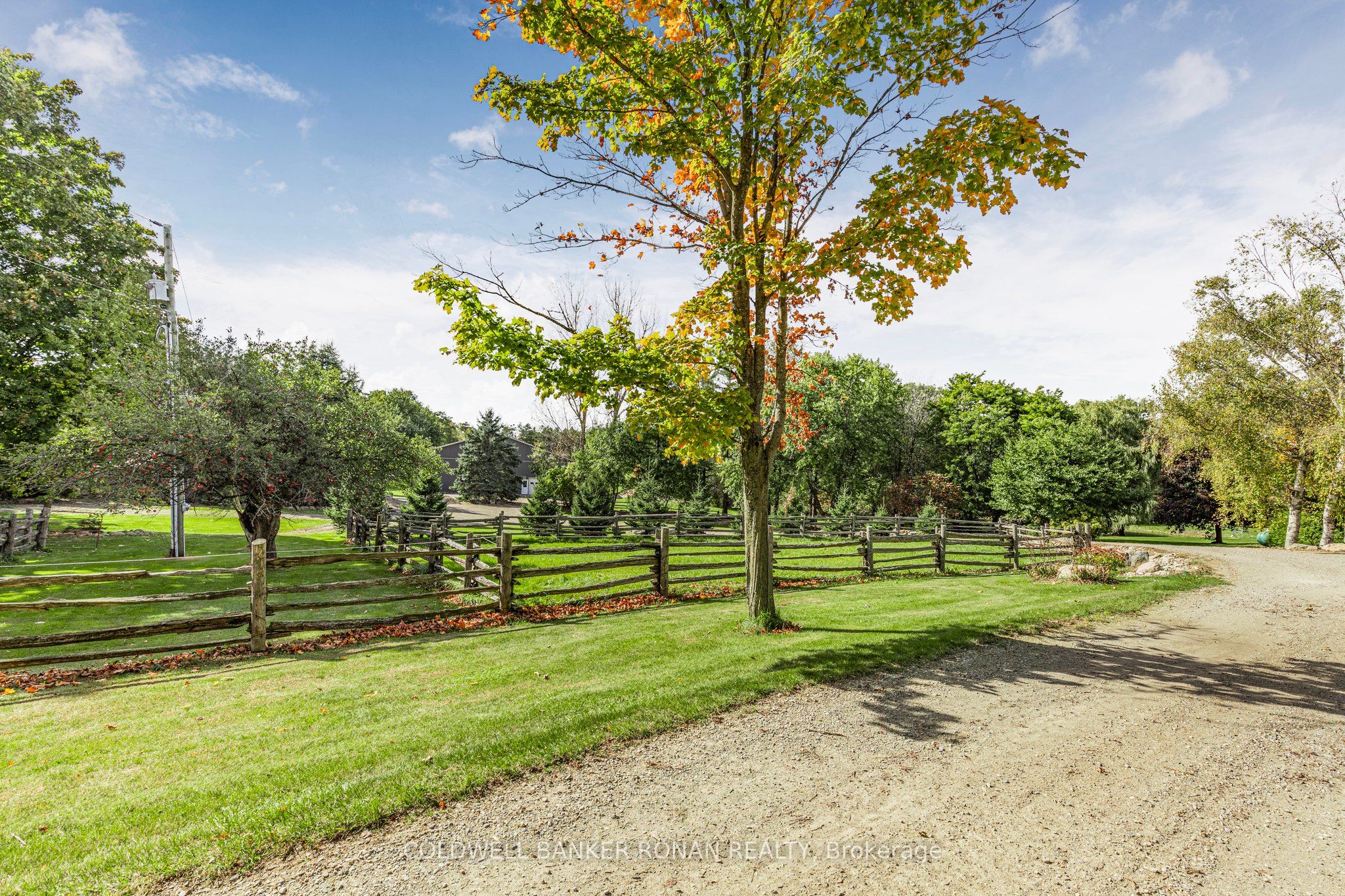 836138 4th Line E Property Photo 8