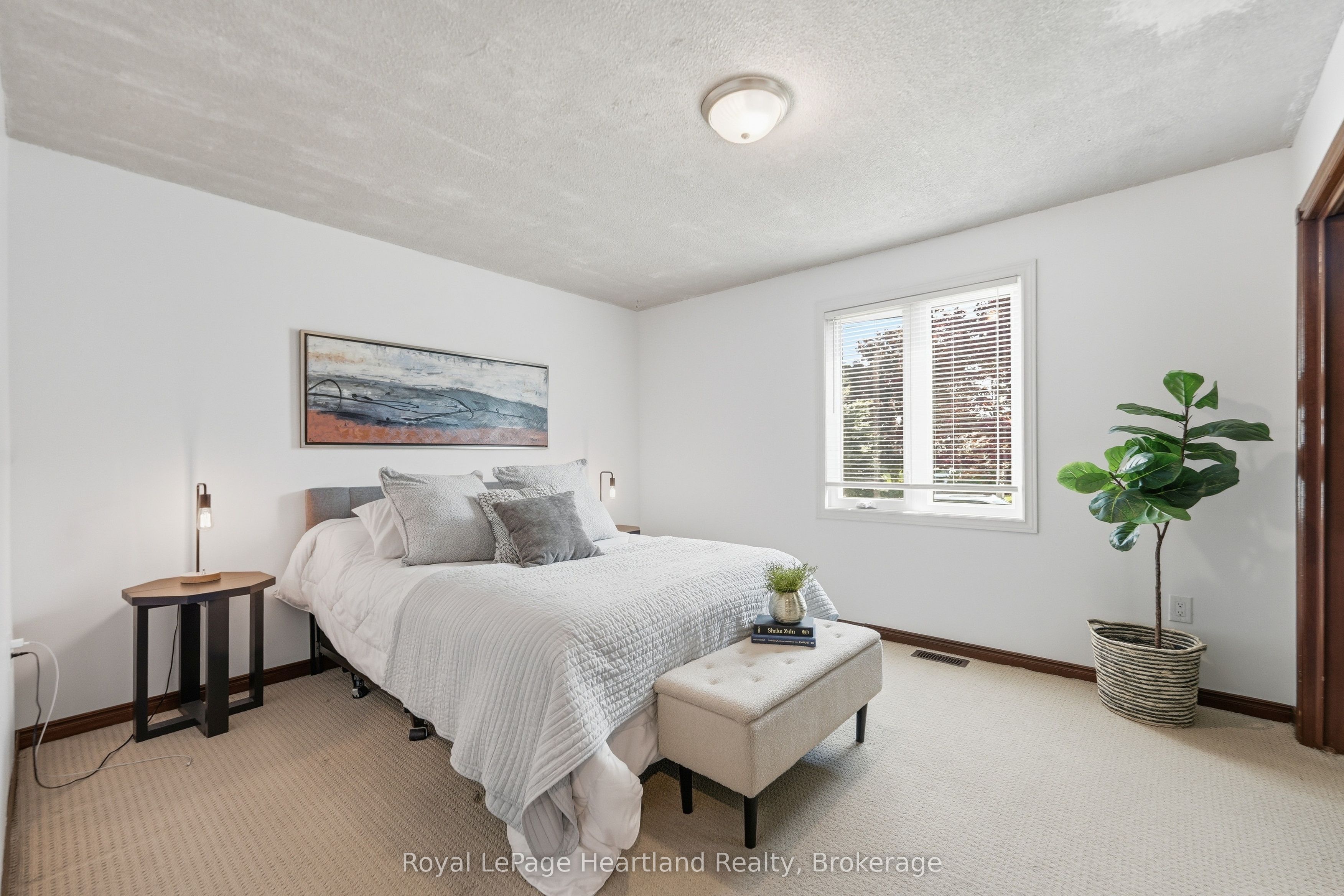 6 Alexander Street Property Photo 19
