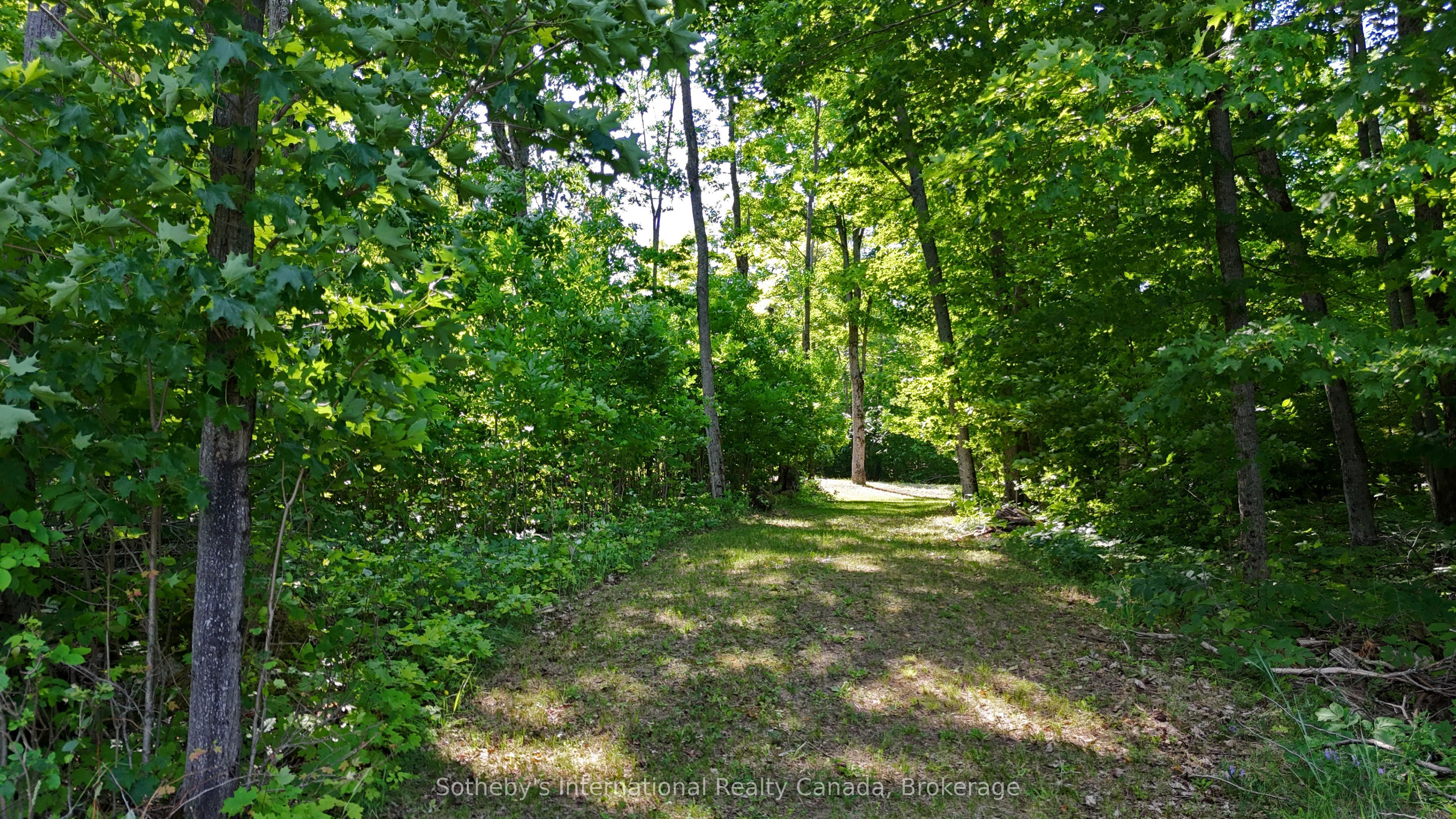 167 Maple Lane E Property Photo 10