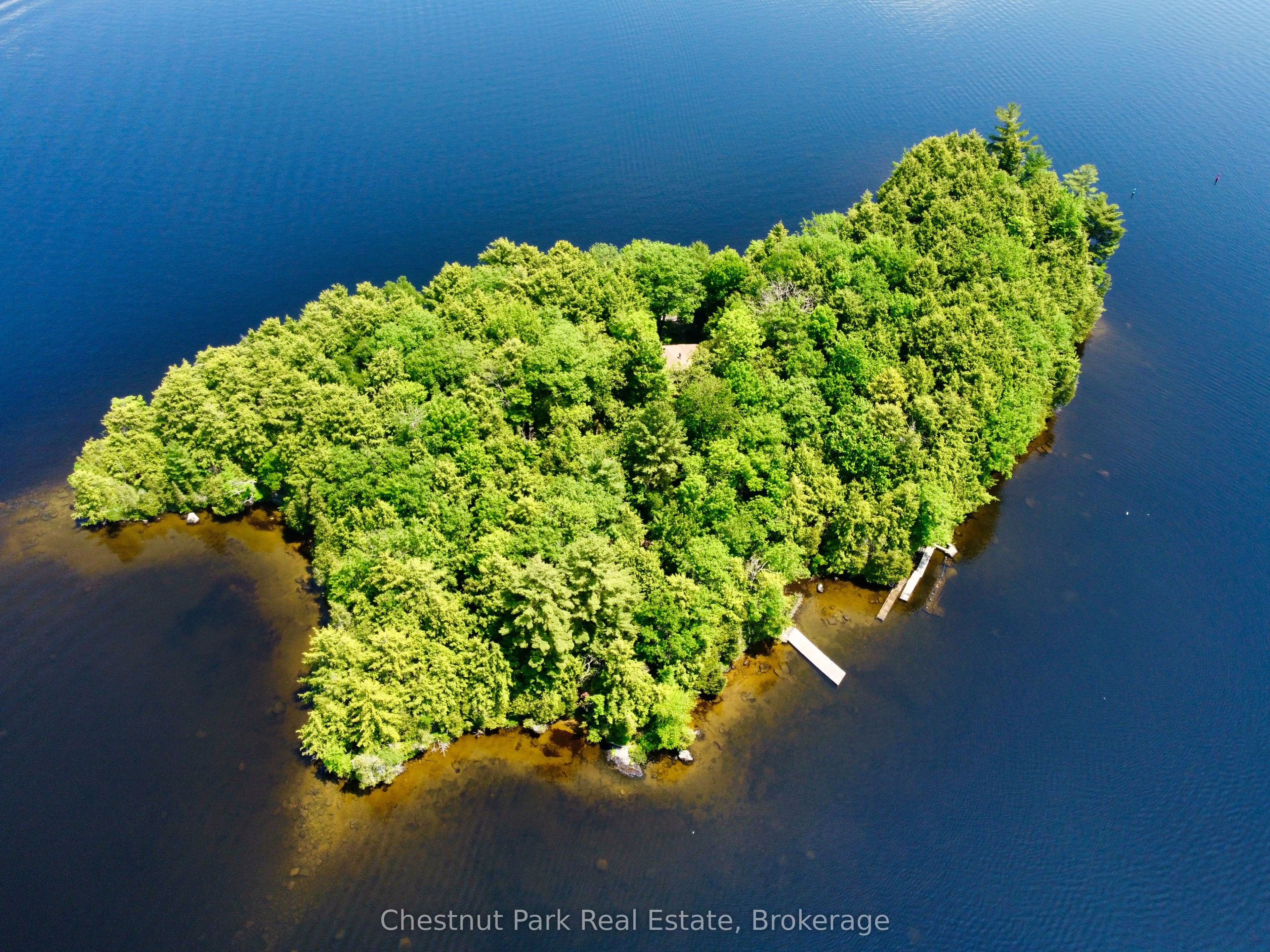 1 Cedar Island Property Photo 1