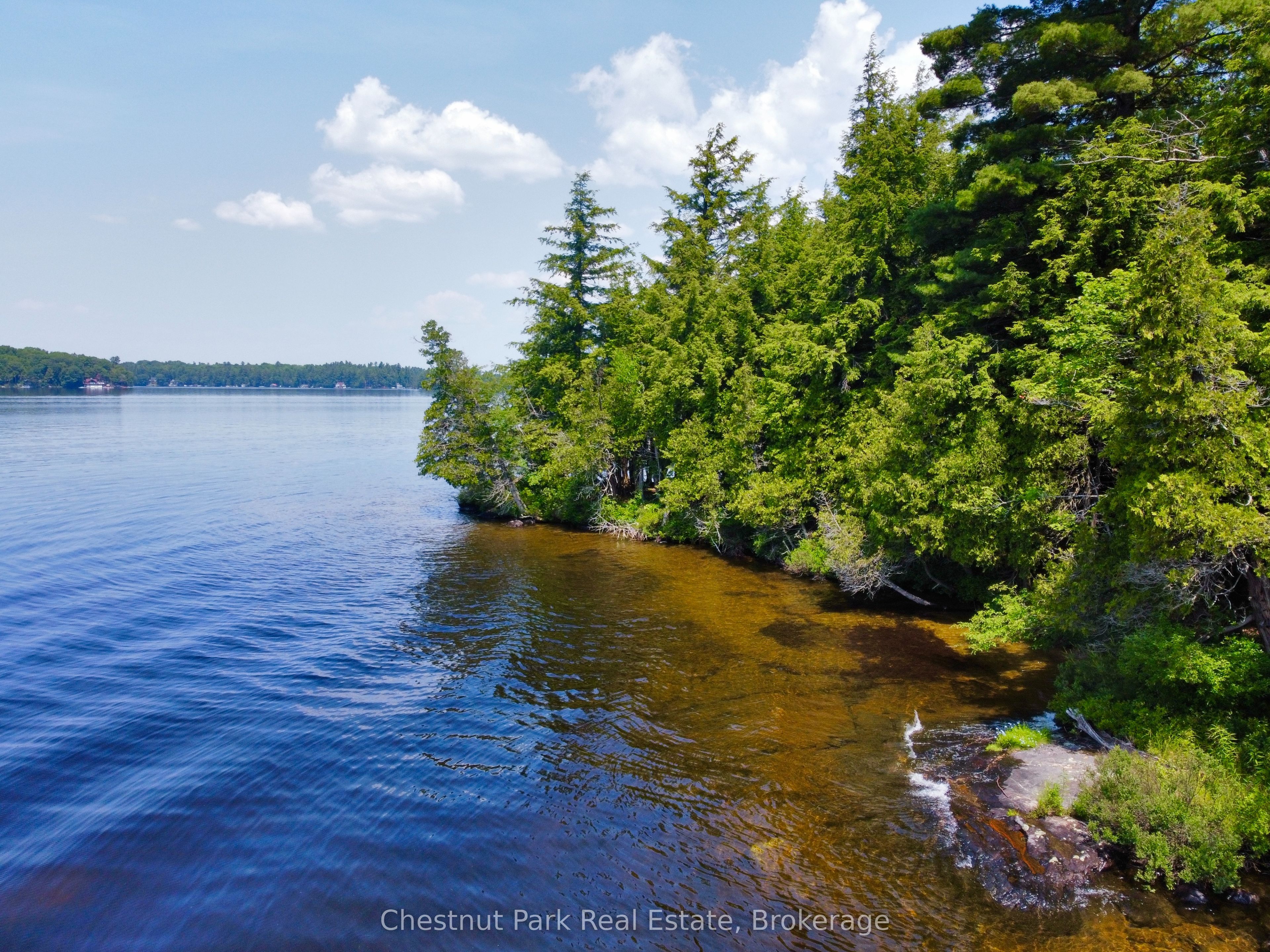 1 Cedar Island Property Photo 5