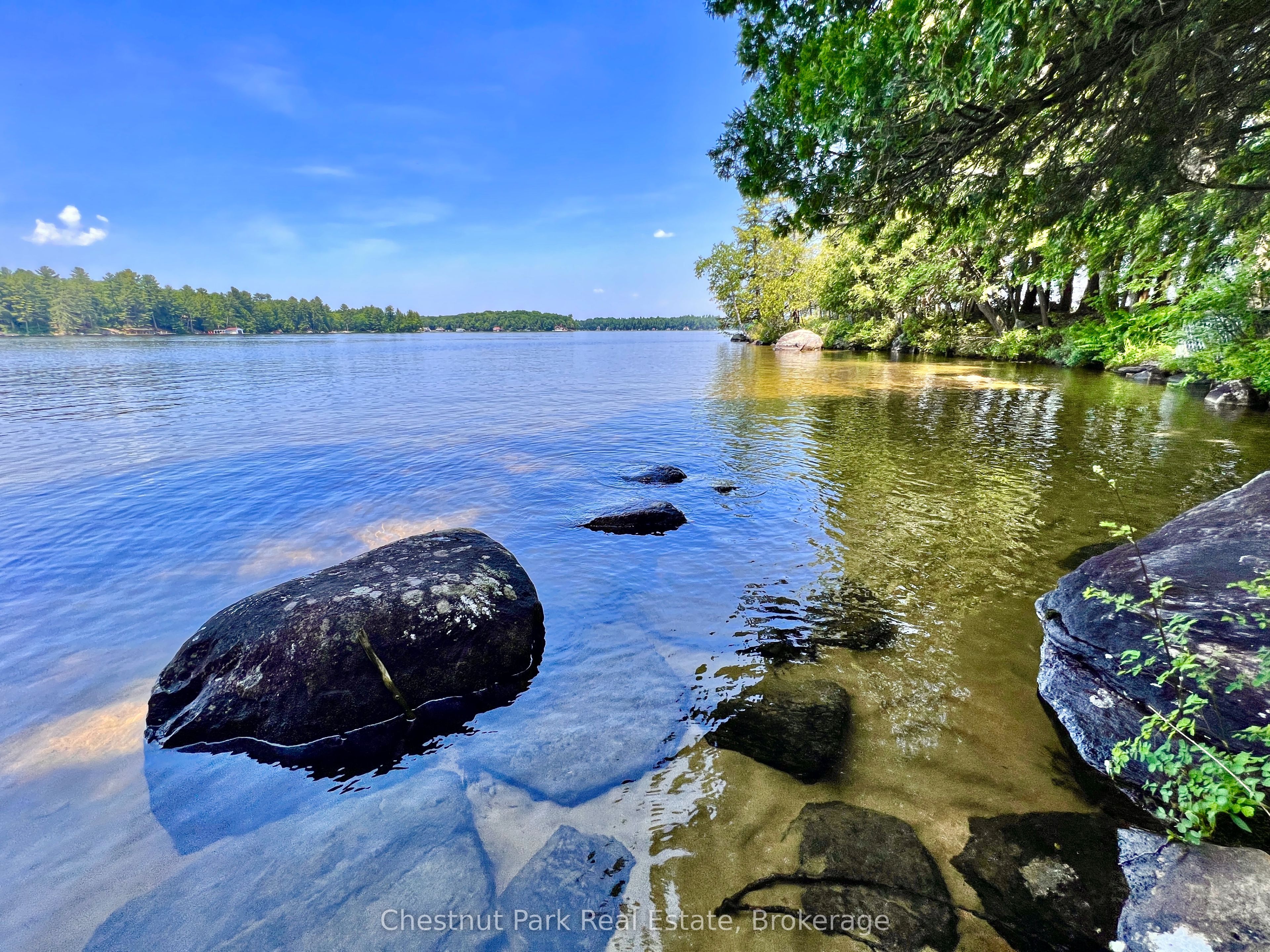 1 Cedar Island Property Photo 6