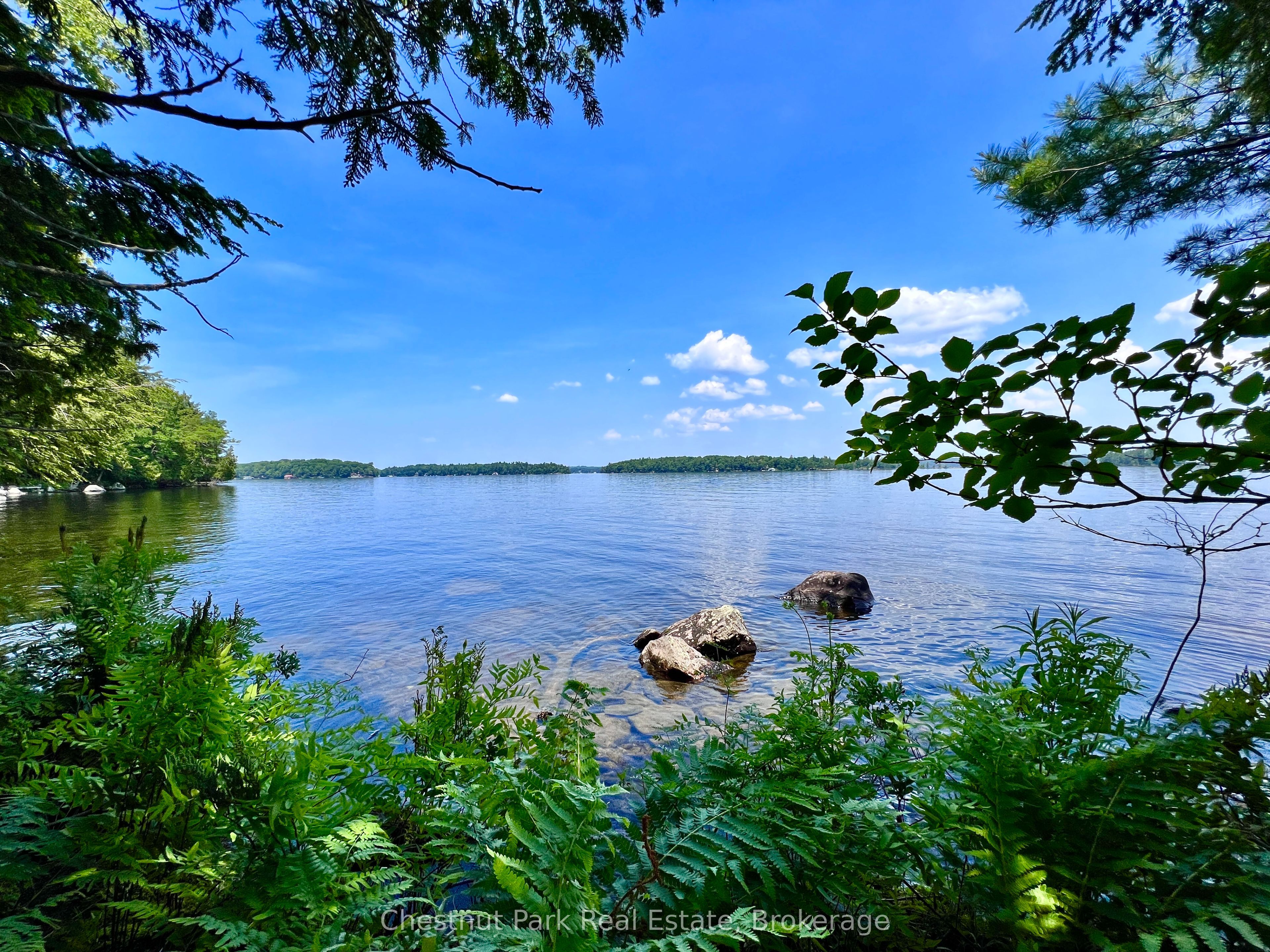 1 Cedar Island Property Photo 11