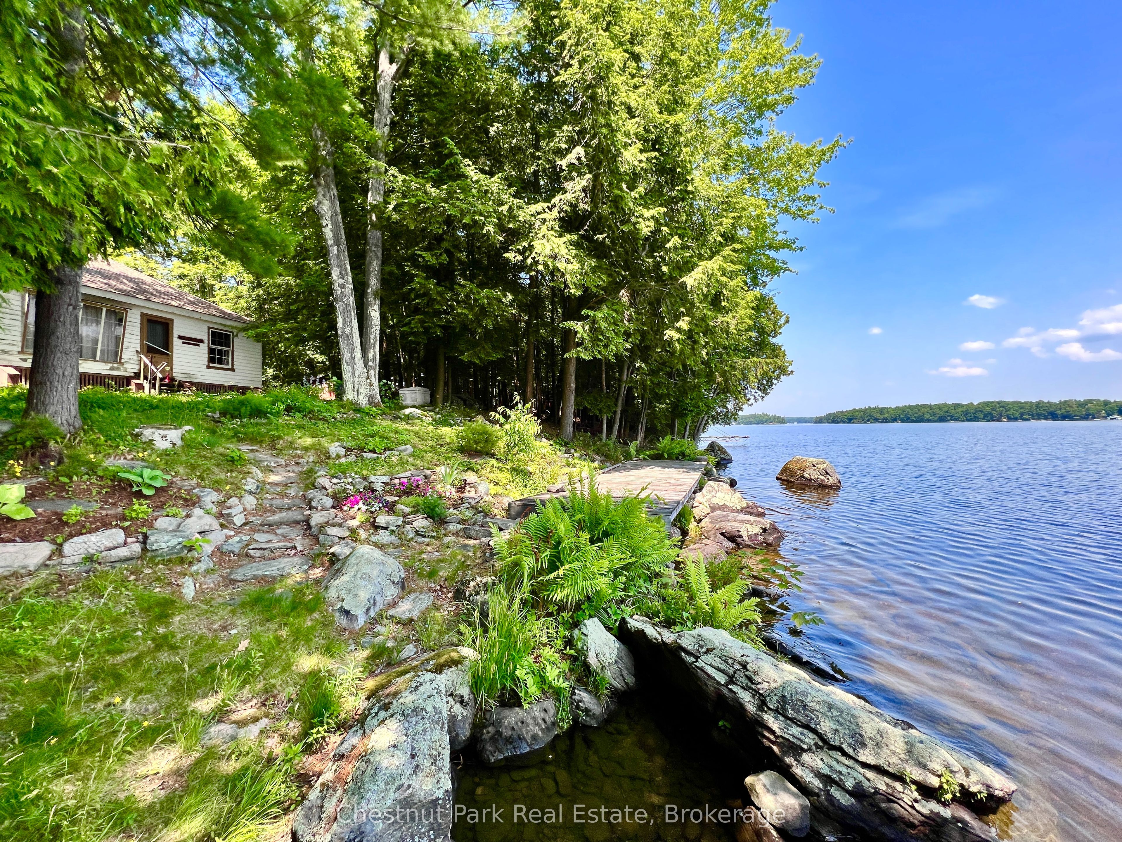 1 Cedar Island Property Photo 13