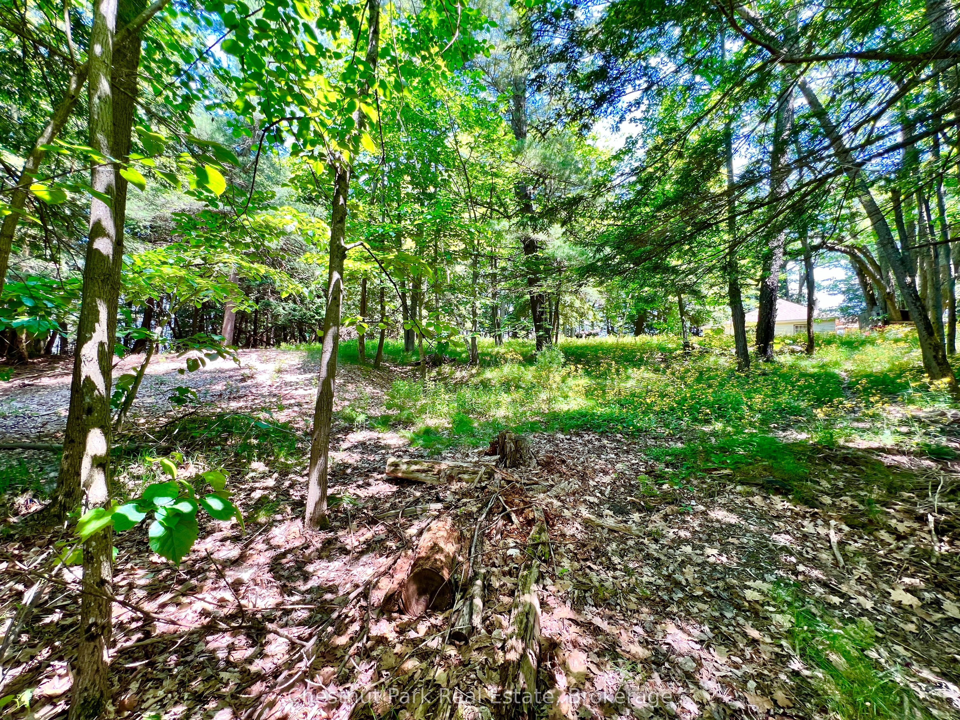 1 Cedar Island Property Photo 14