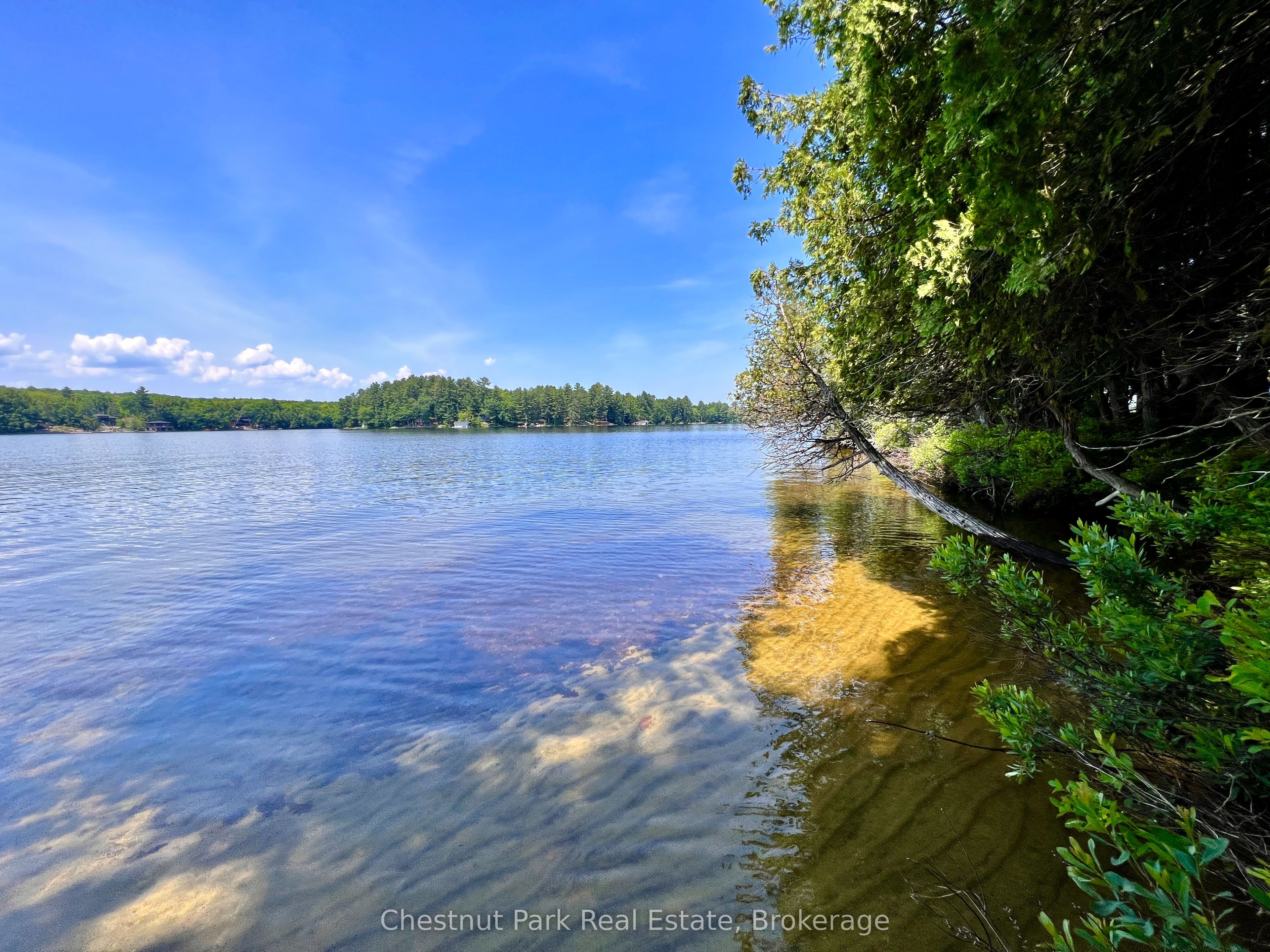 1 Cedar Island Property Photo 16