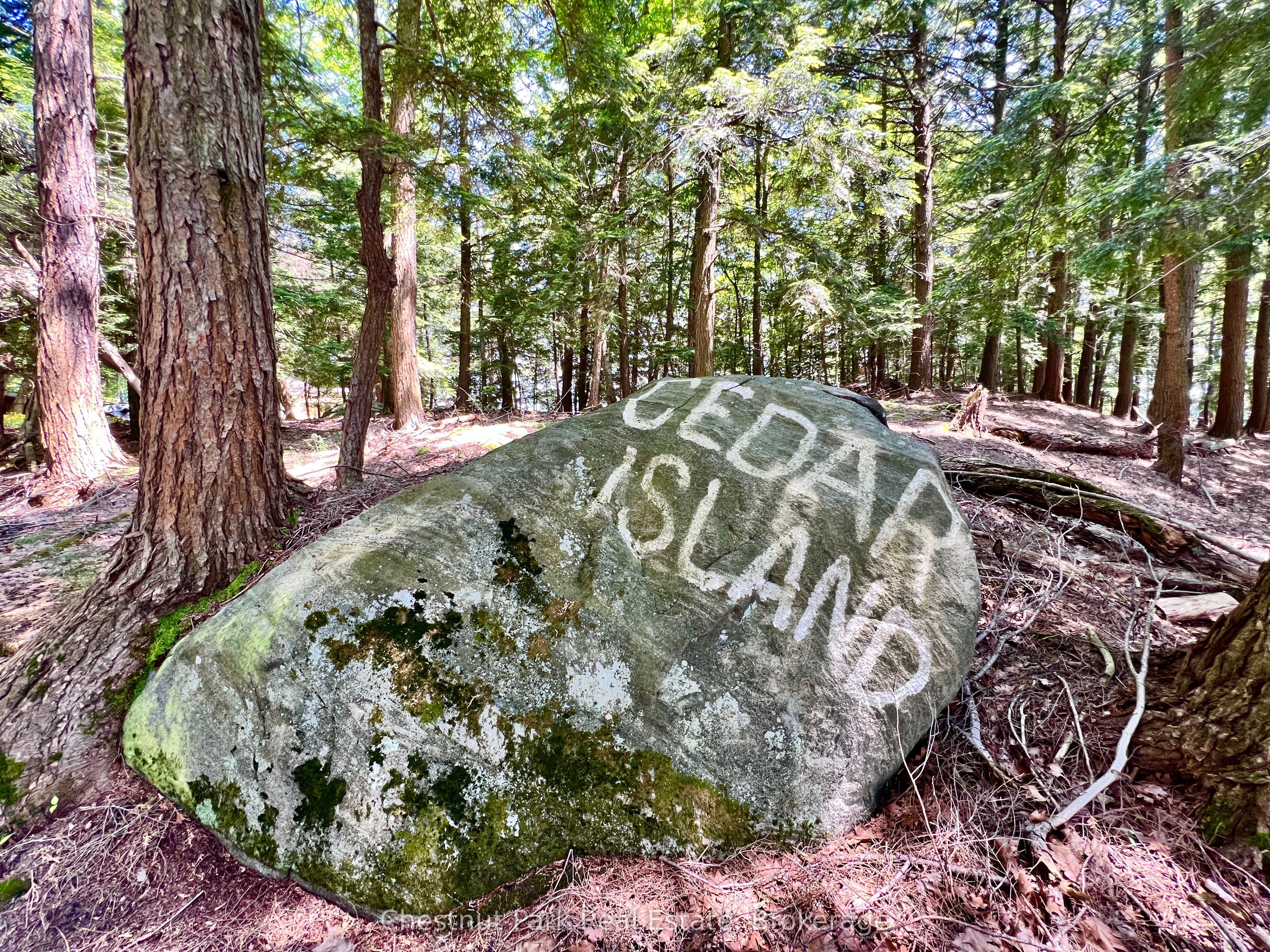 1 Cedar Island Property Photo 17