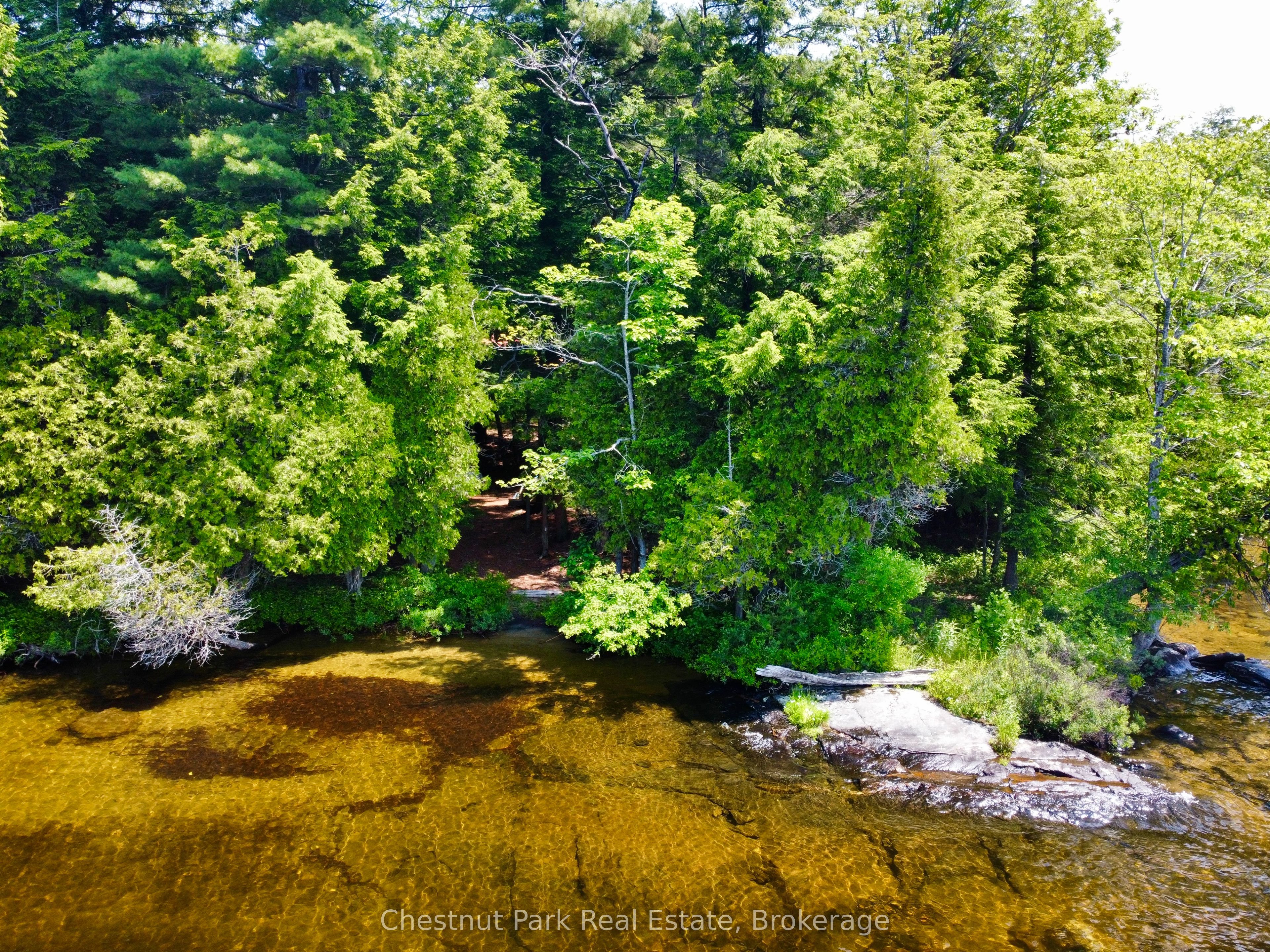 1 Cedar Island Property Photo 18