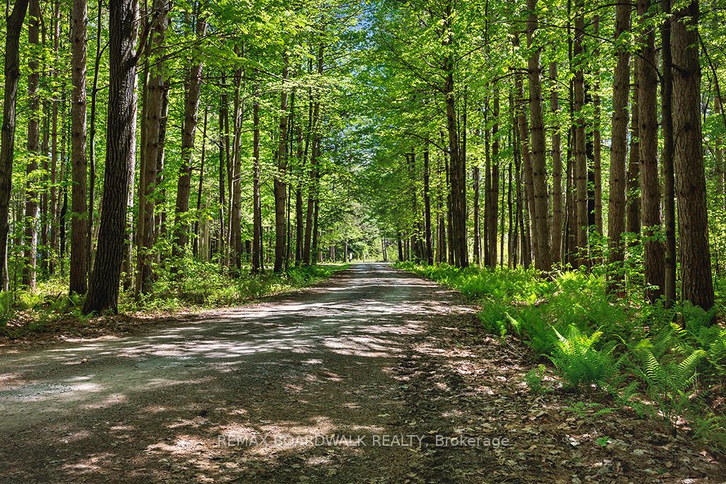 1439 Lacroix Road Property Photo 4