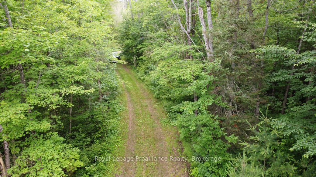 1033 Waterworth Lane Property Photo 9