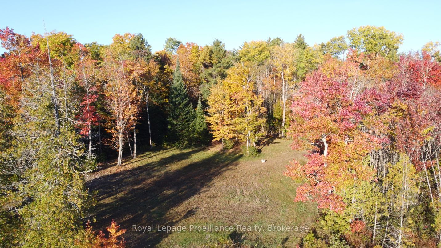 1033 Waterworth Lane Property Photo 17