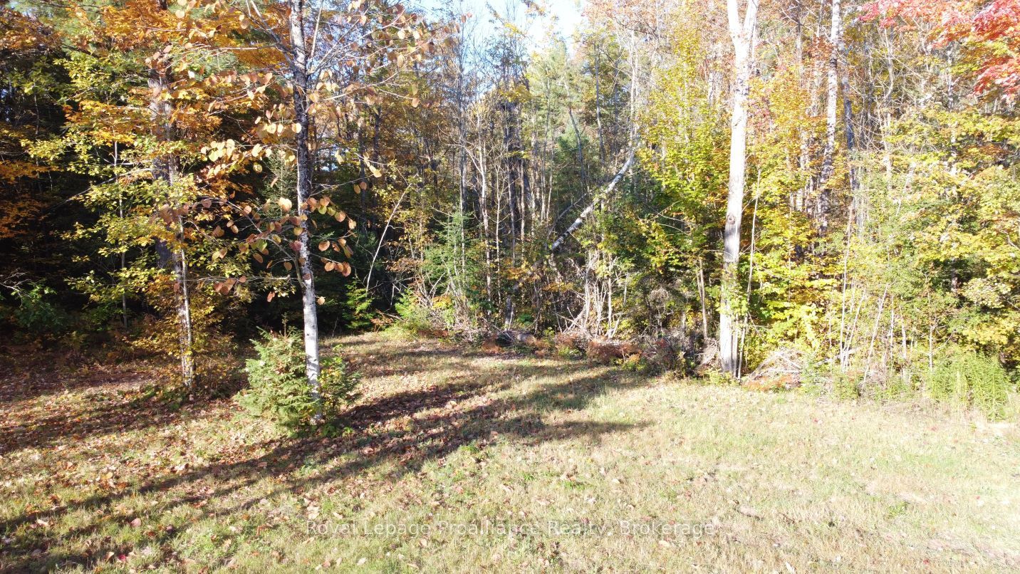 1033 Waterworth Lane Property Photo 21
