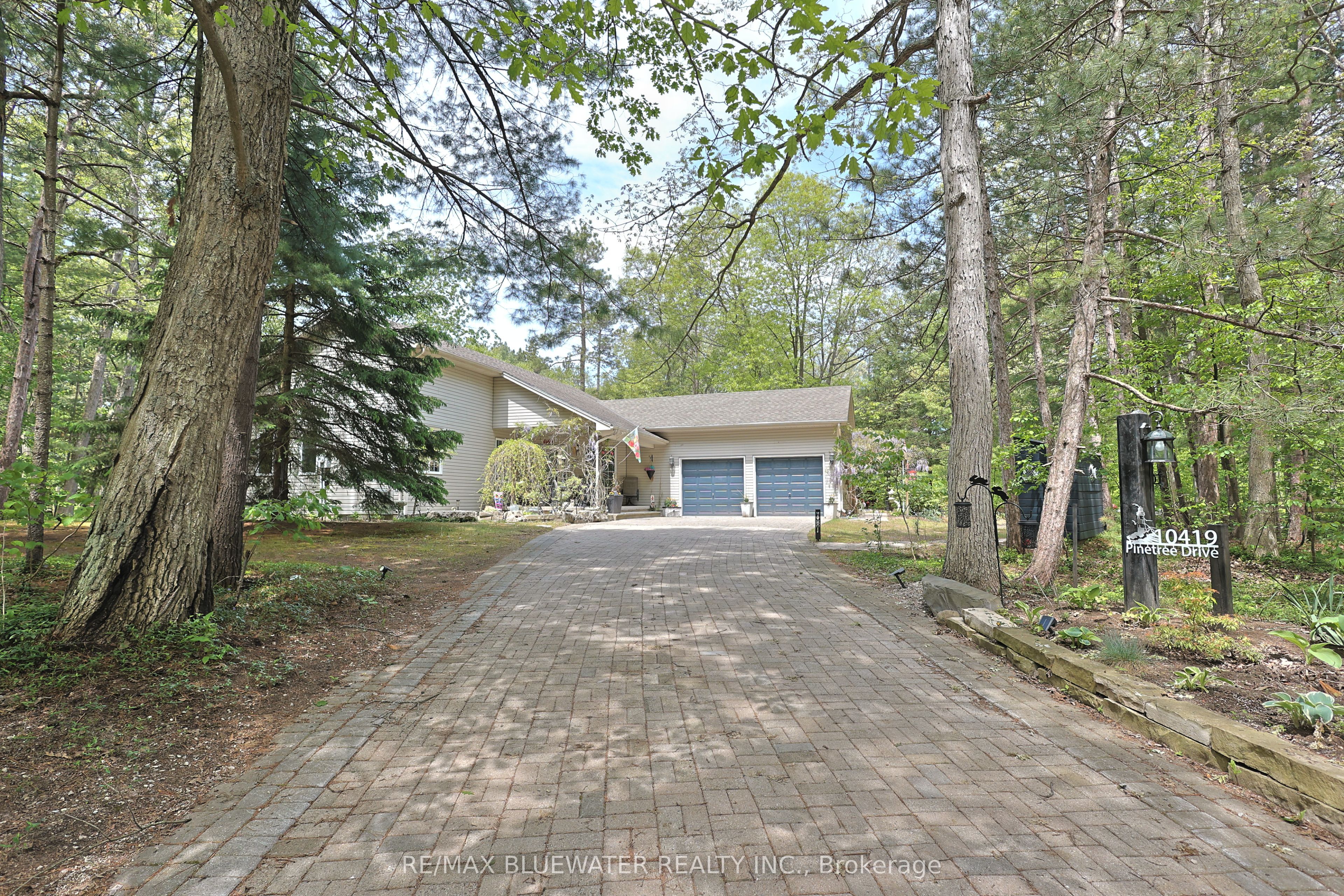 10419 Pinetree Drive Property Photo 6