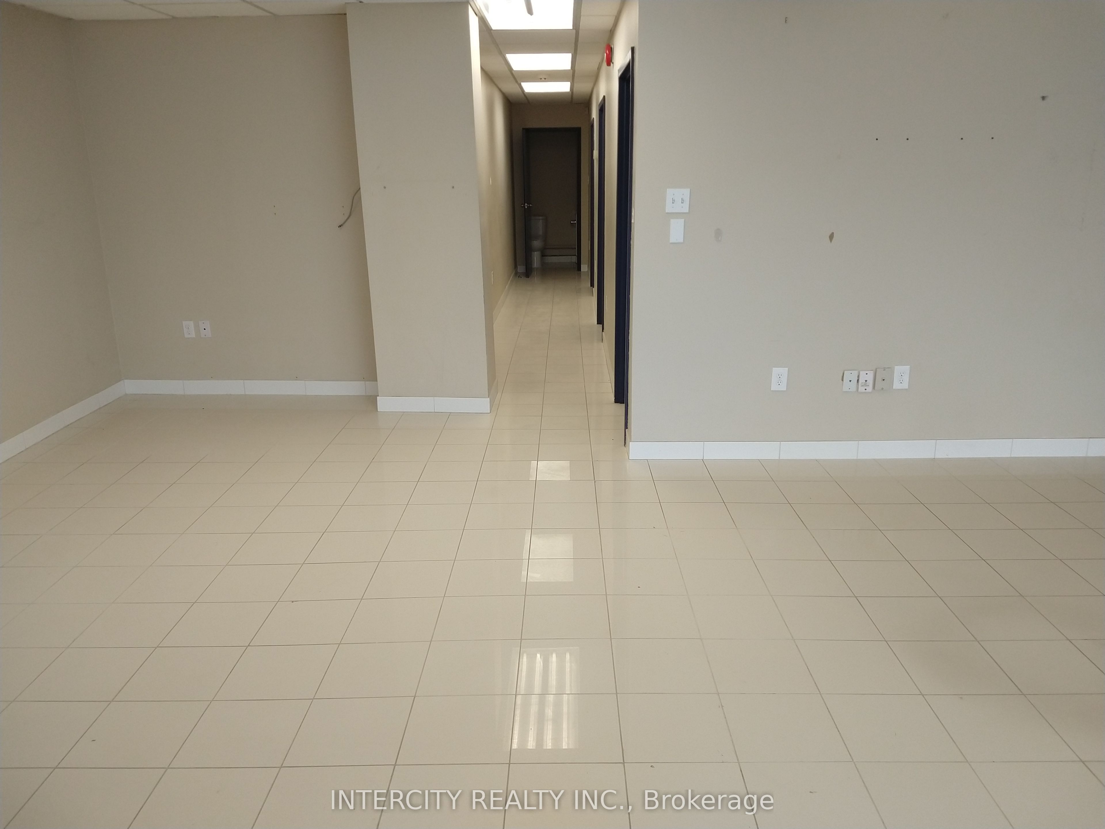 50 Cavan Street 1 Property Photo 4