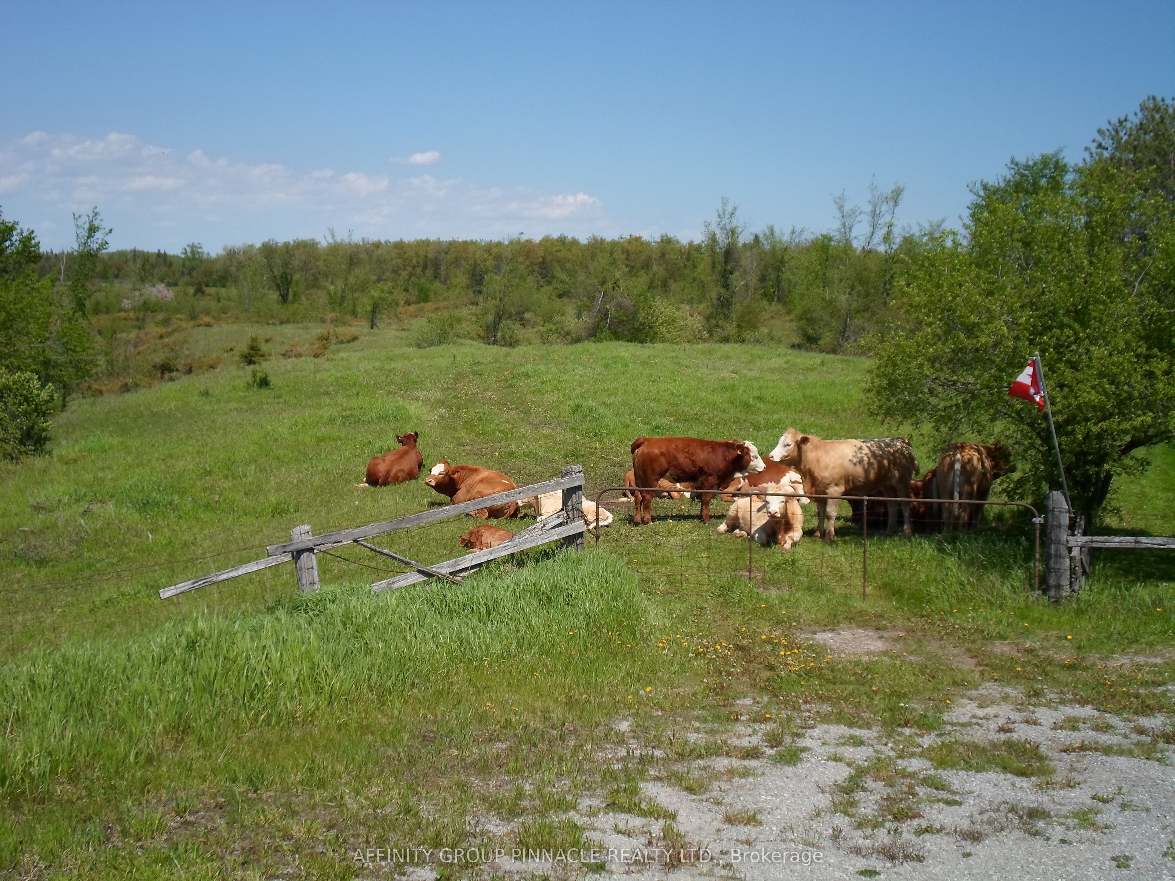 1178 County Rd 121 Road Property Photo 12
