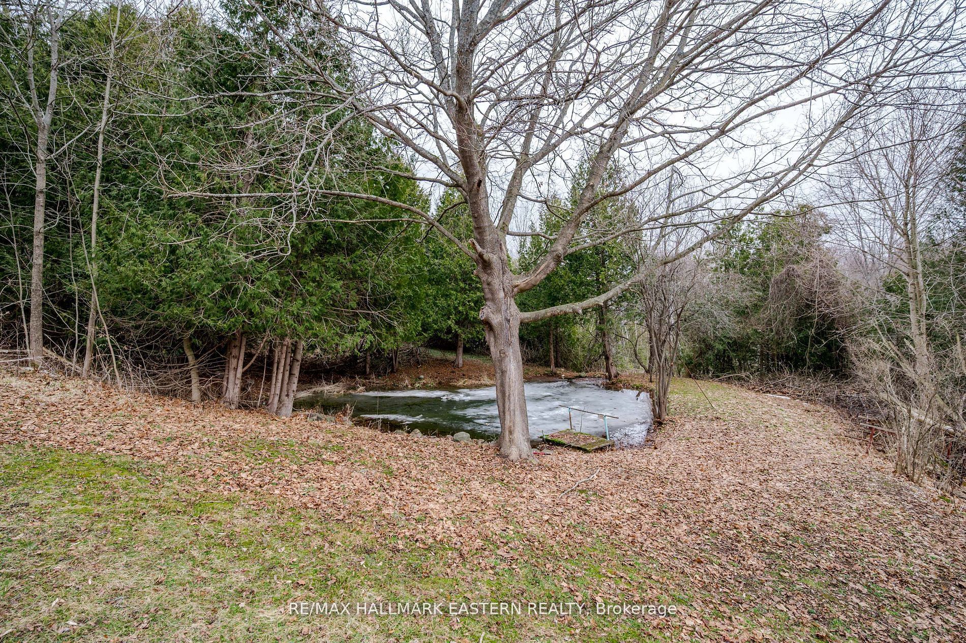 521 Concession Rd 8 W Property Photo 47