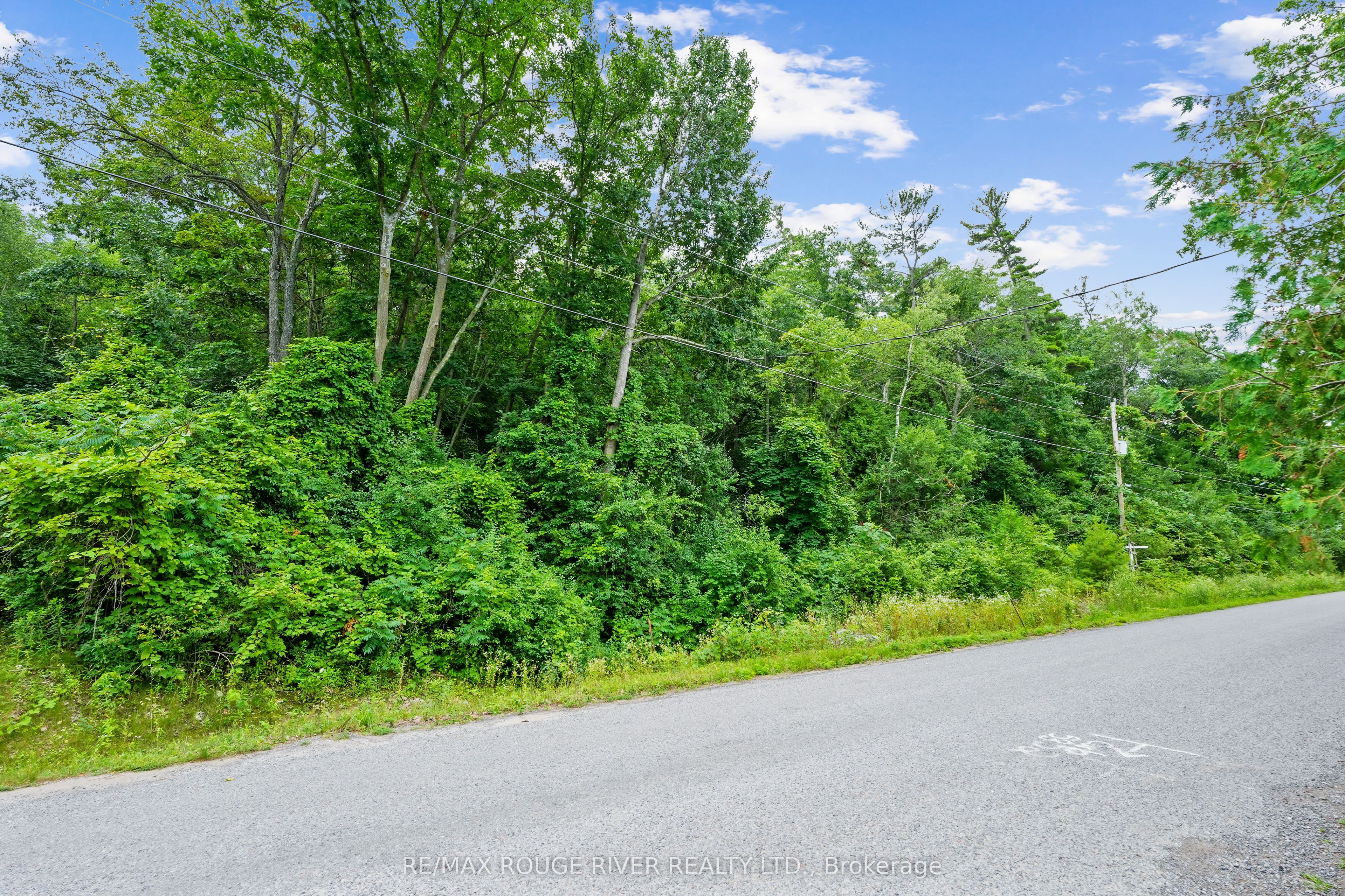28 Bamsey Drive Property Photo 16