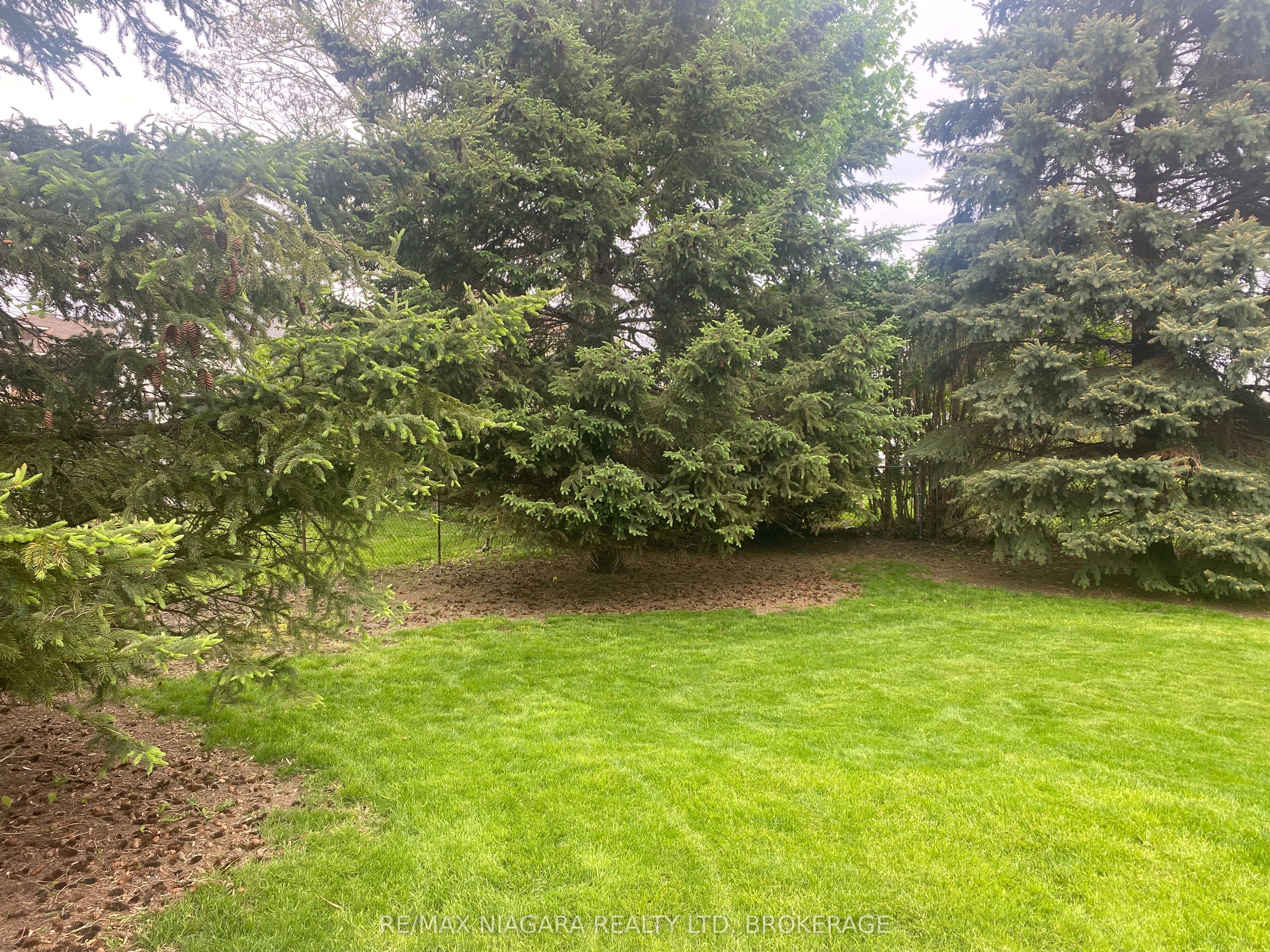 735 Niagara Boulevard Property Photo 10