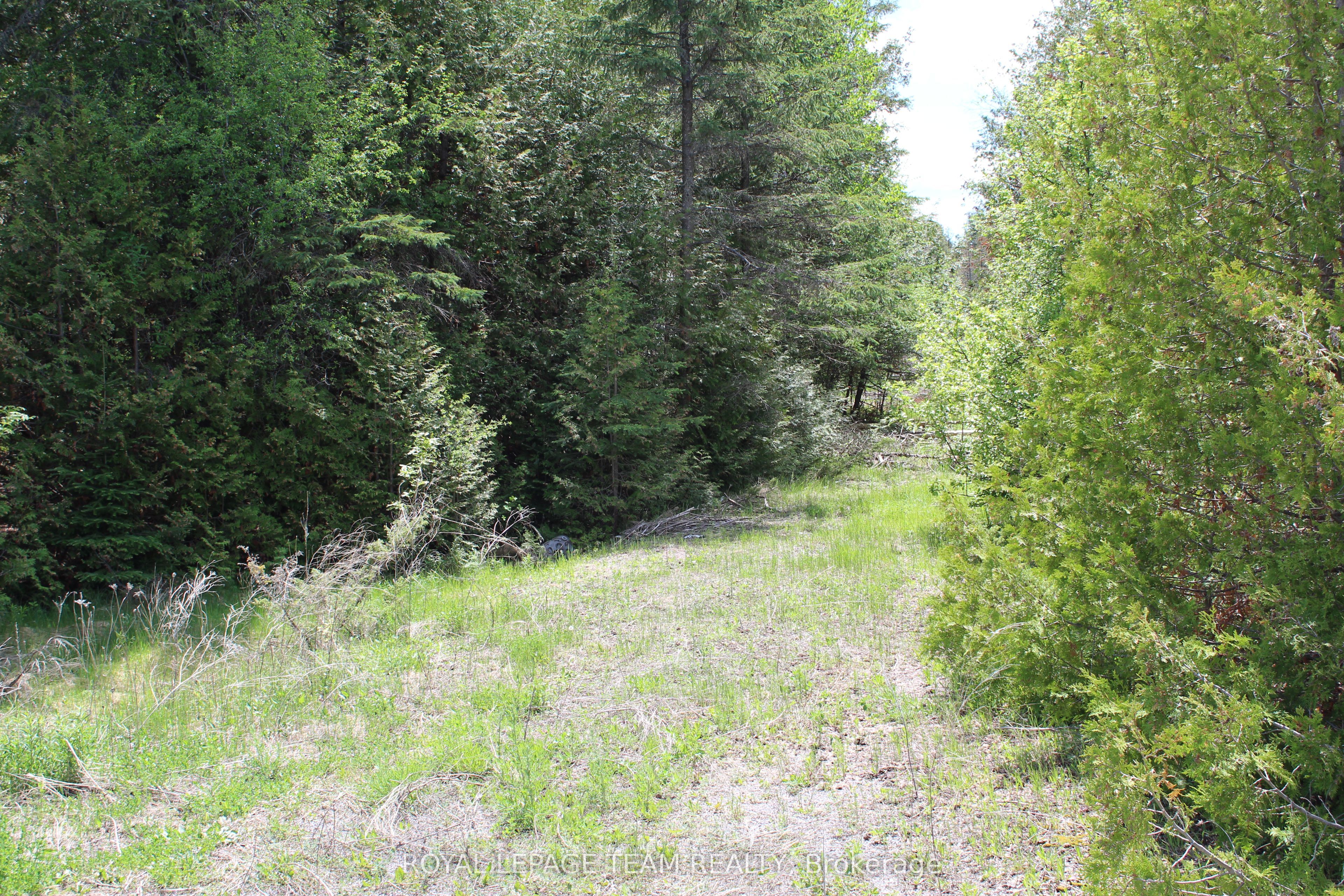 3475 Hwy 17 Highway Property Photo 4