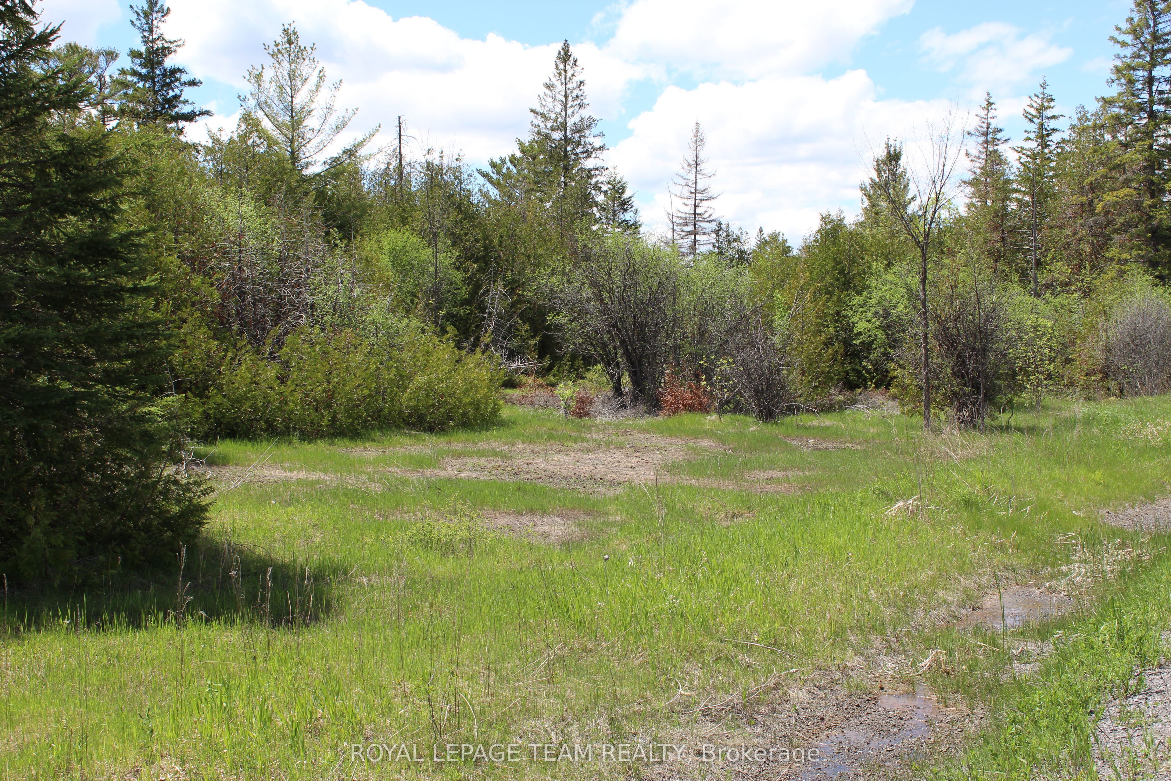 3475 Hwy 17 Highway Property Photo 5
