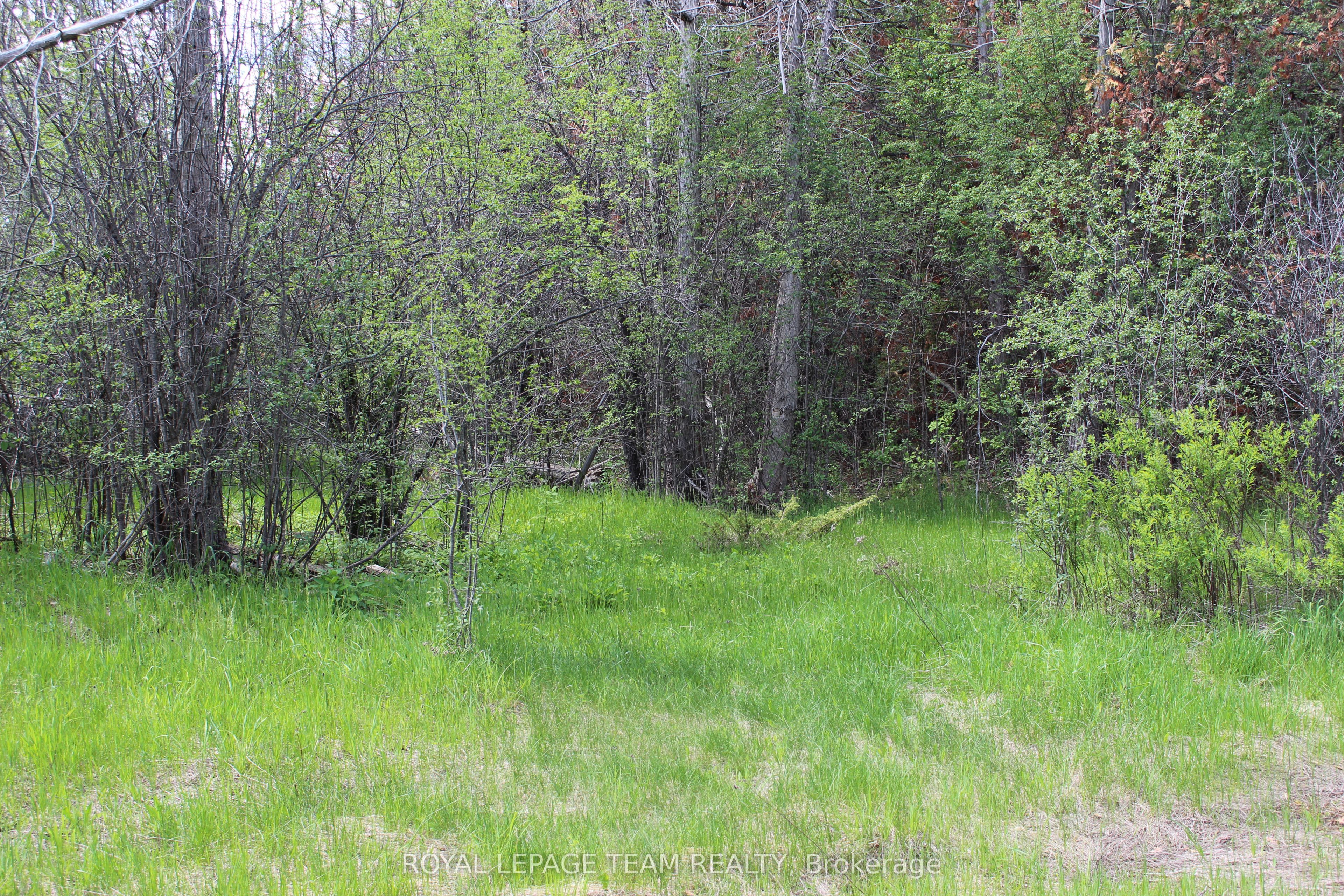 3475 Hwy 17 Highway Property Photo 6