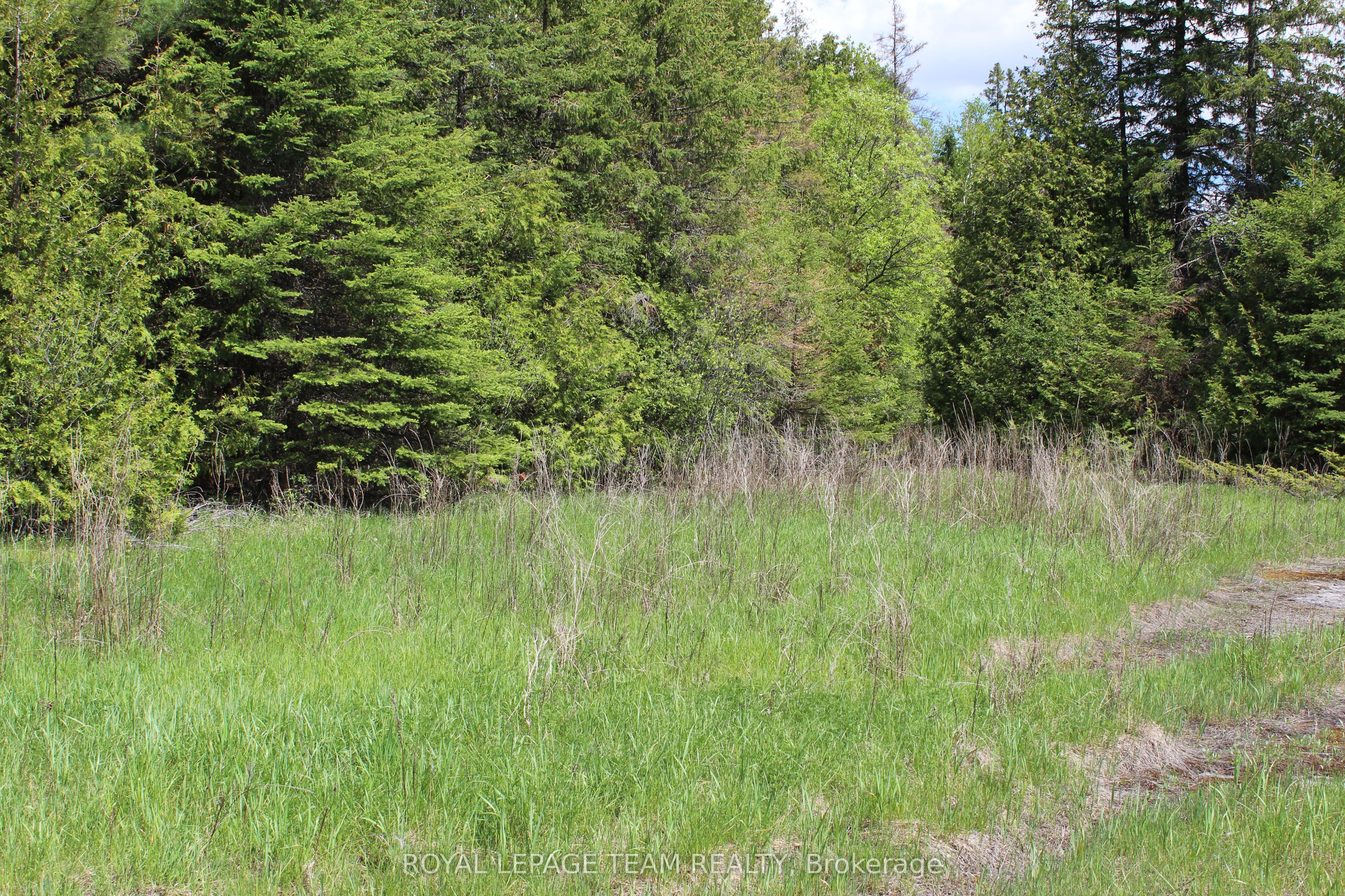 3475 Hwy 17 Highway Property Photo 9