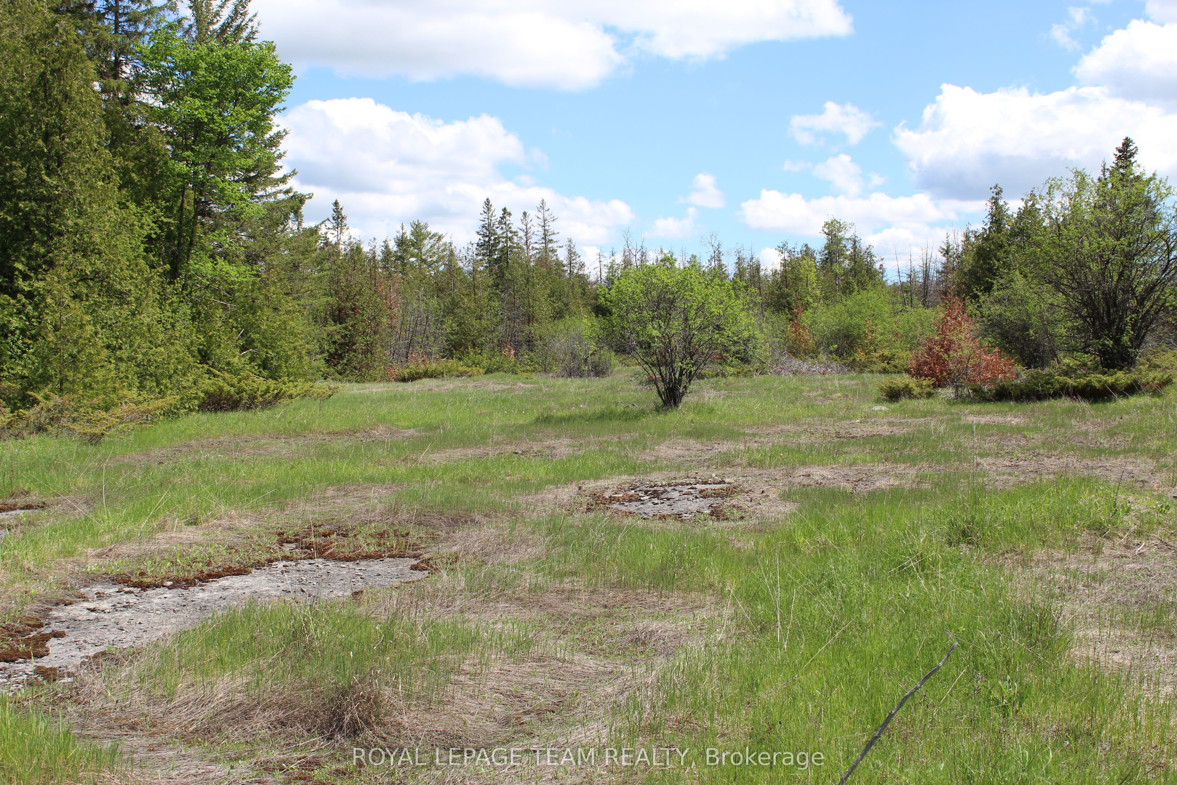 3475 Hwy 17 Highway Property Photo 10