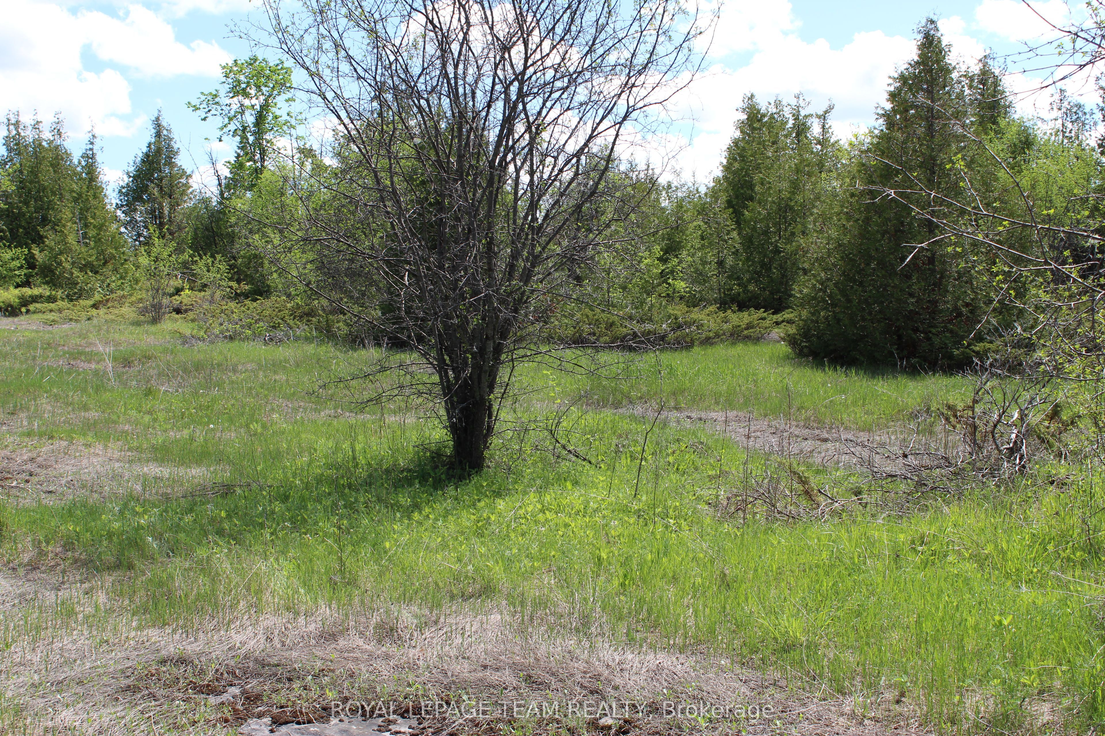 3475 Hwy 17 Highway Property Photo 13