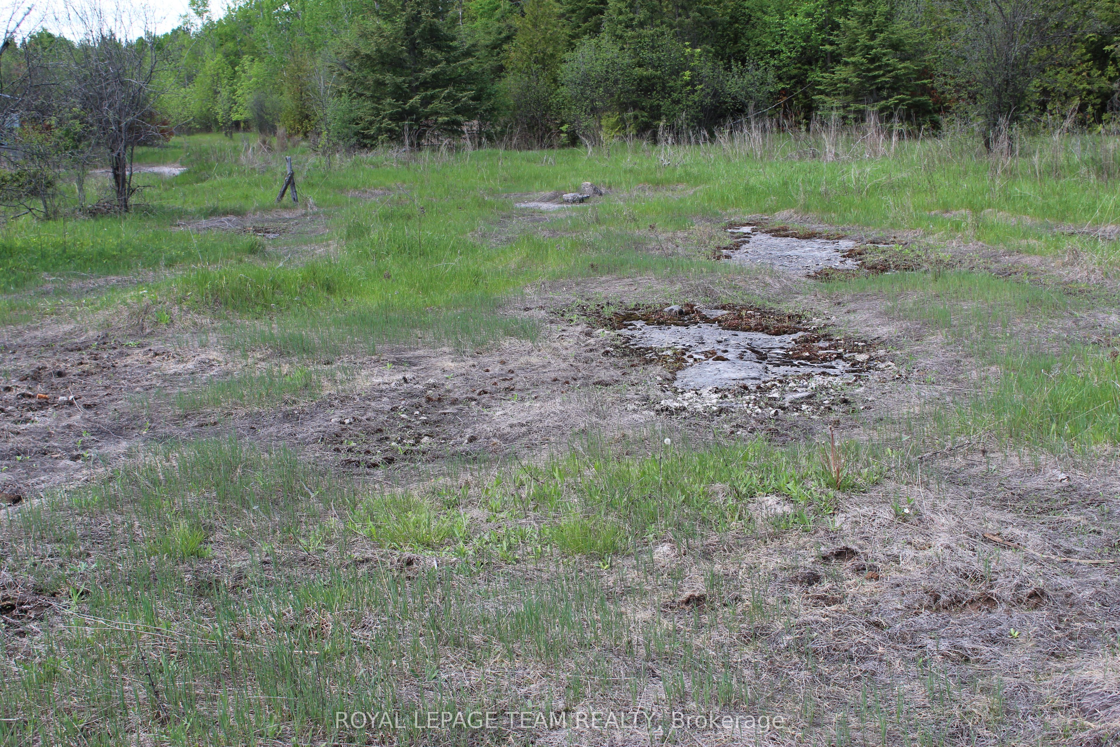 3475 Hwy 17 Highway Property Photo 14