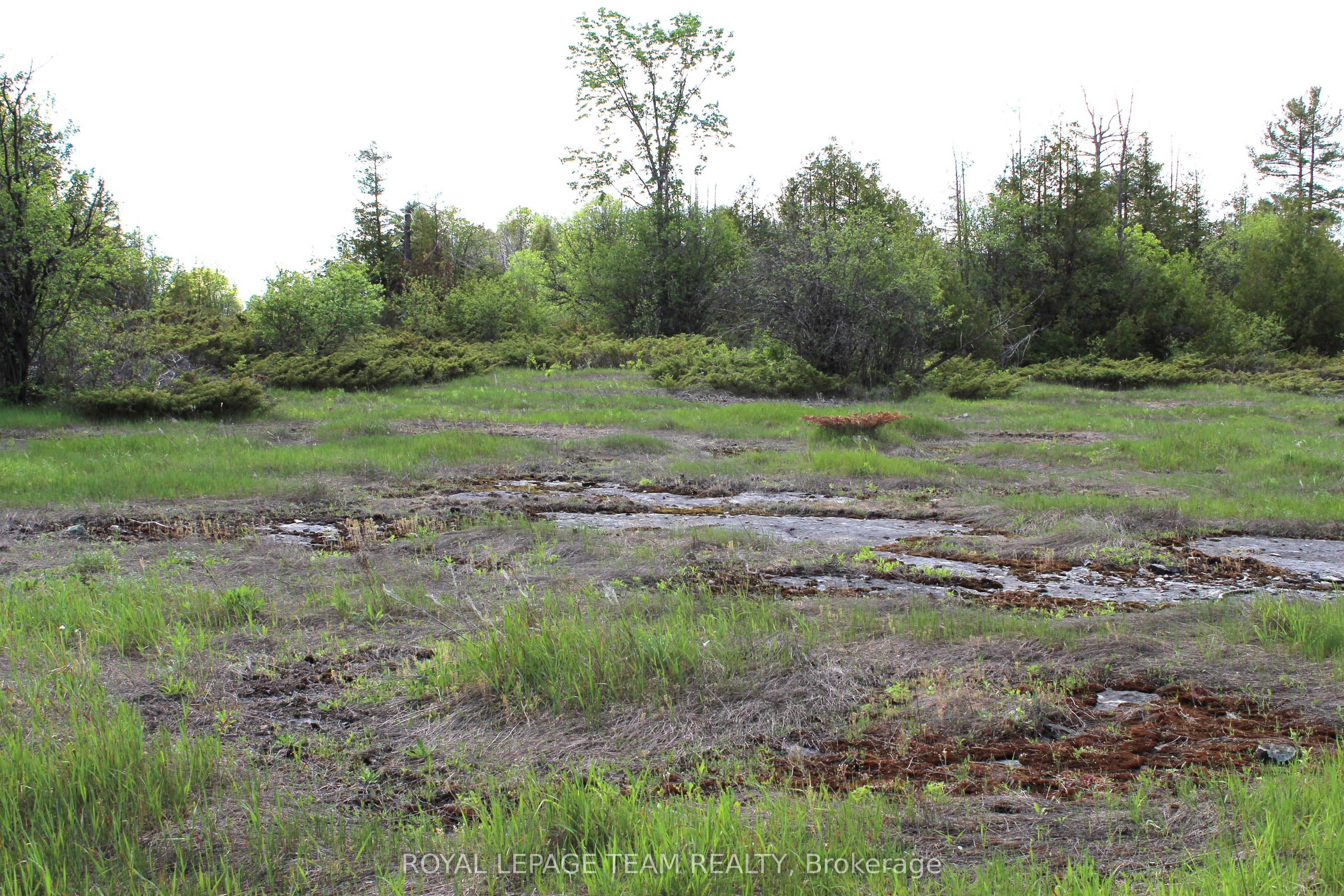 3475 Hwy 17 Highway Property Photo 16