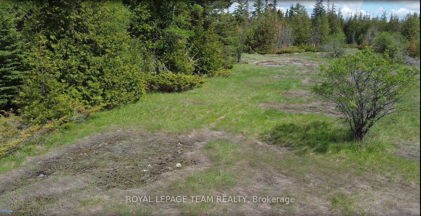 3475 Hwy 17 Highway Property Photo 21